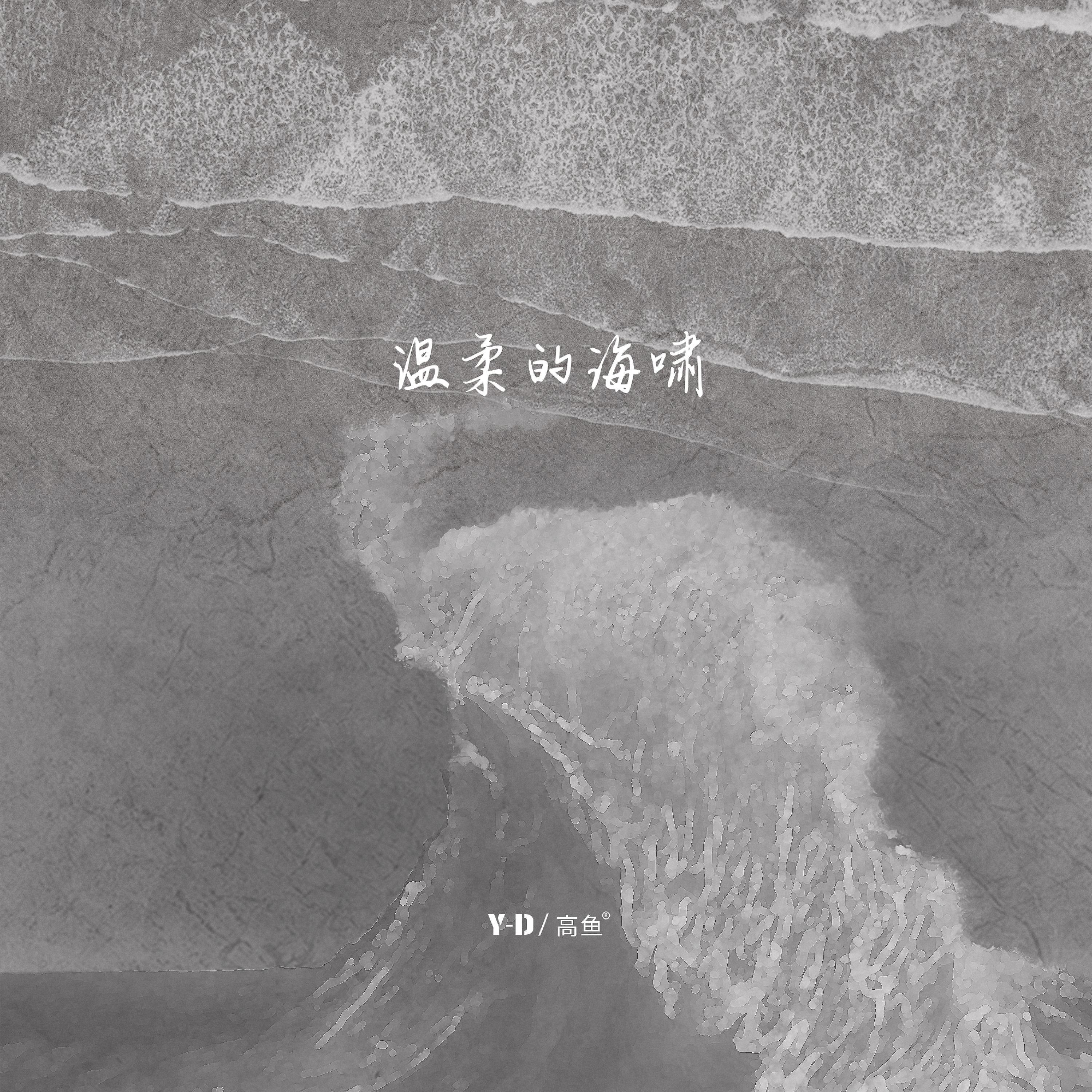 Постер альбома 温柔的海啸
