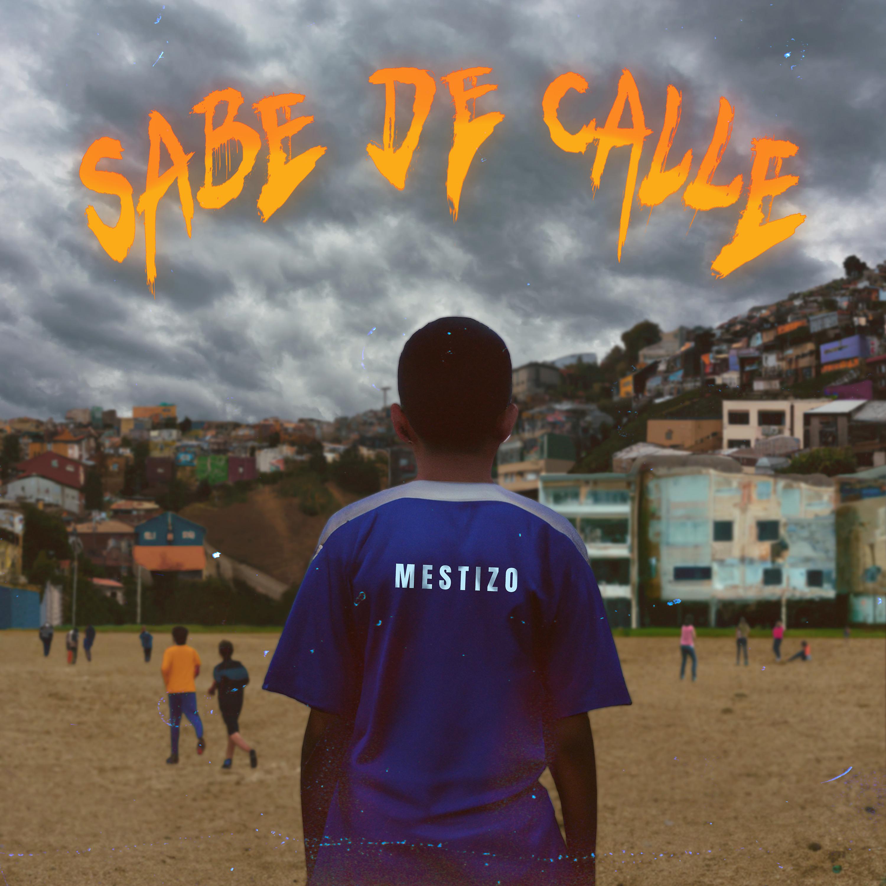 Постер альбома Sabe de Calle