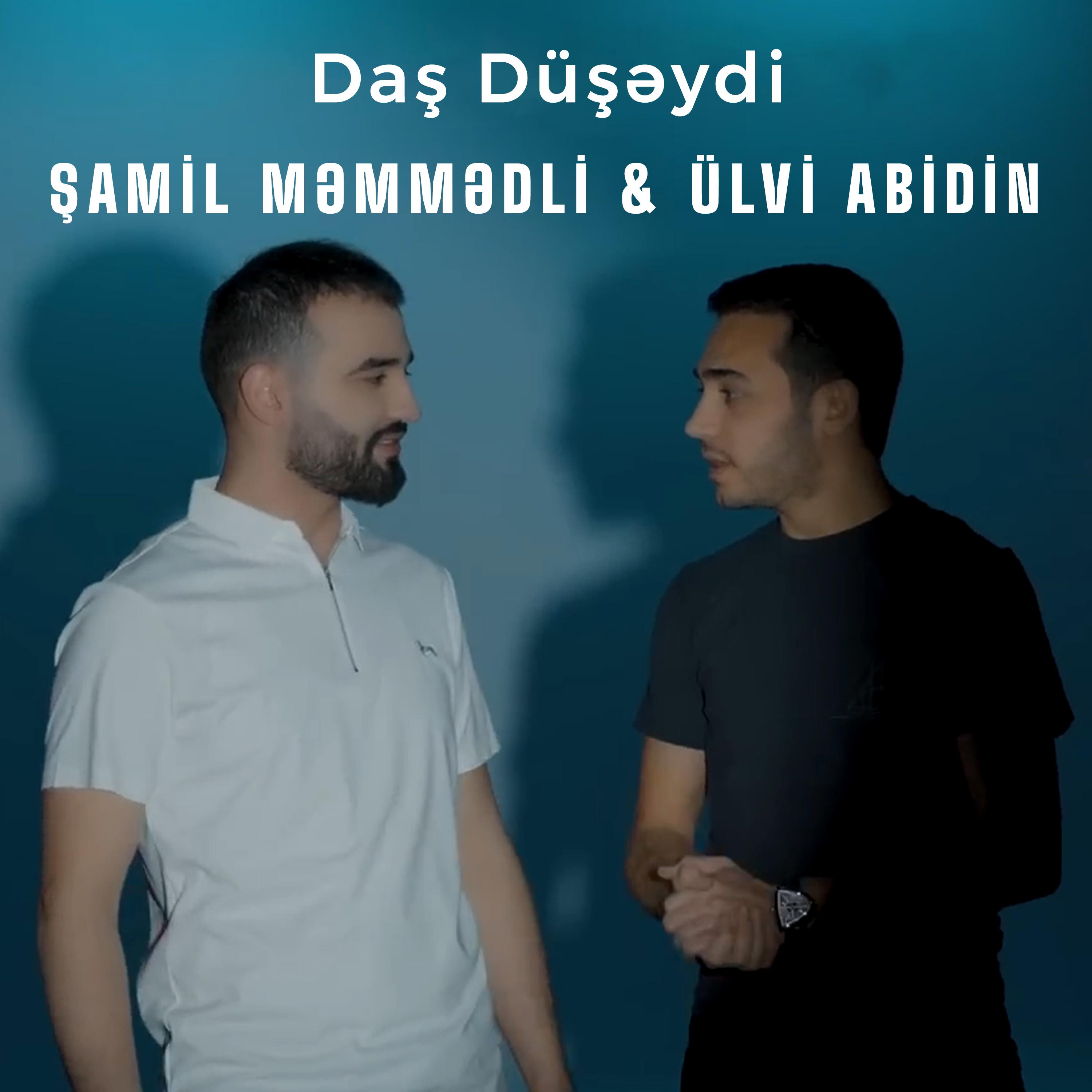 Постер альбома Daş Düşəydi