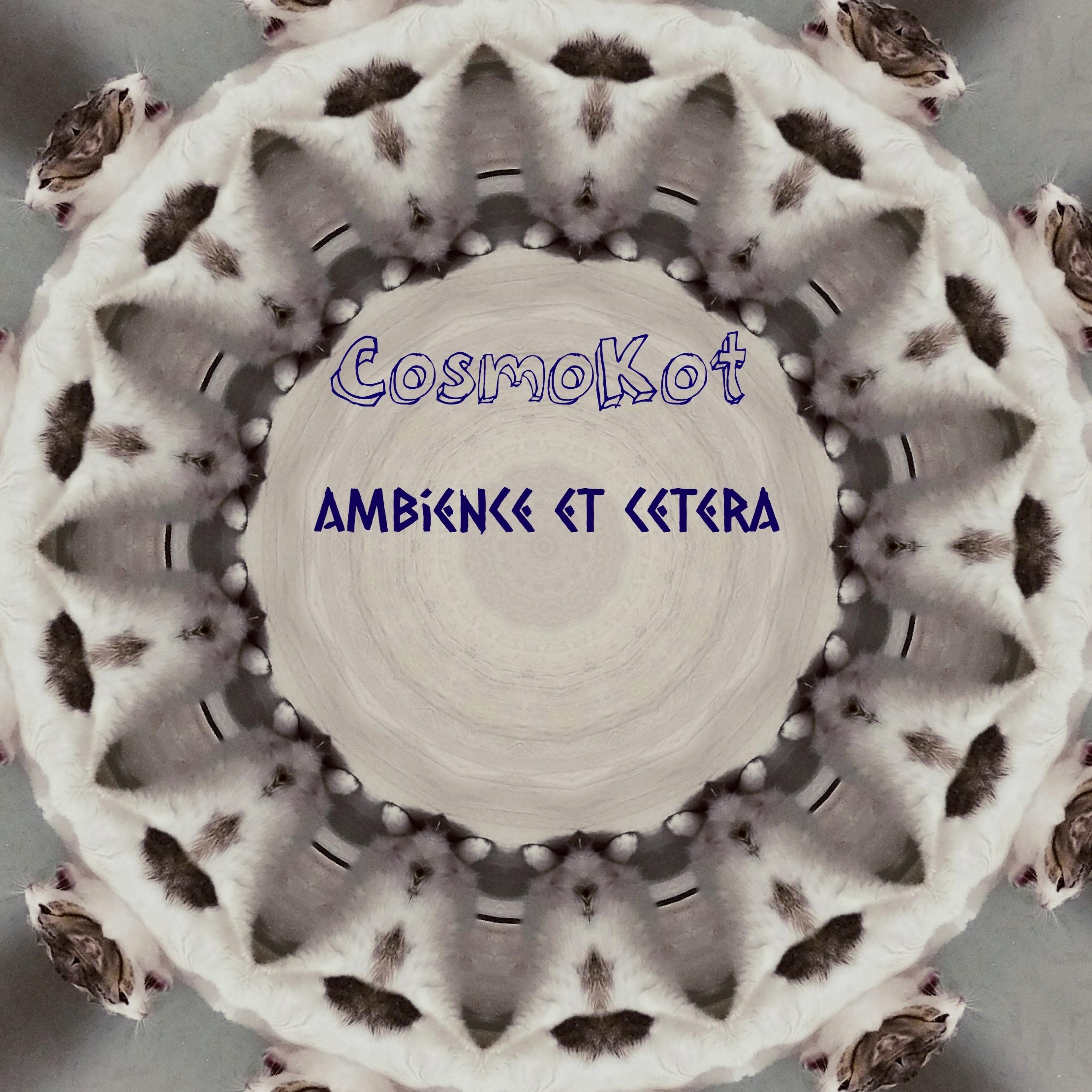 Постер альбома Ambience Et Cetera