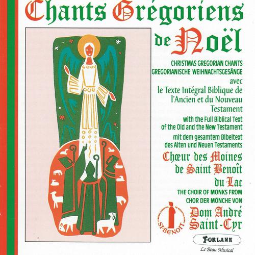 Постер альбома Chants grégoriens de Noël