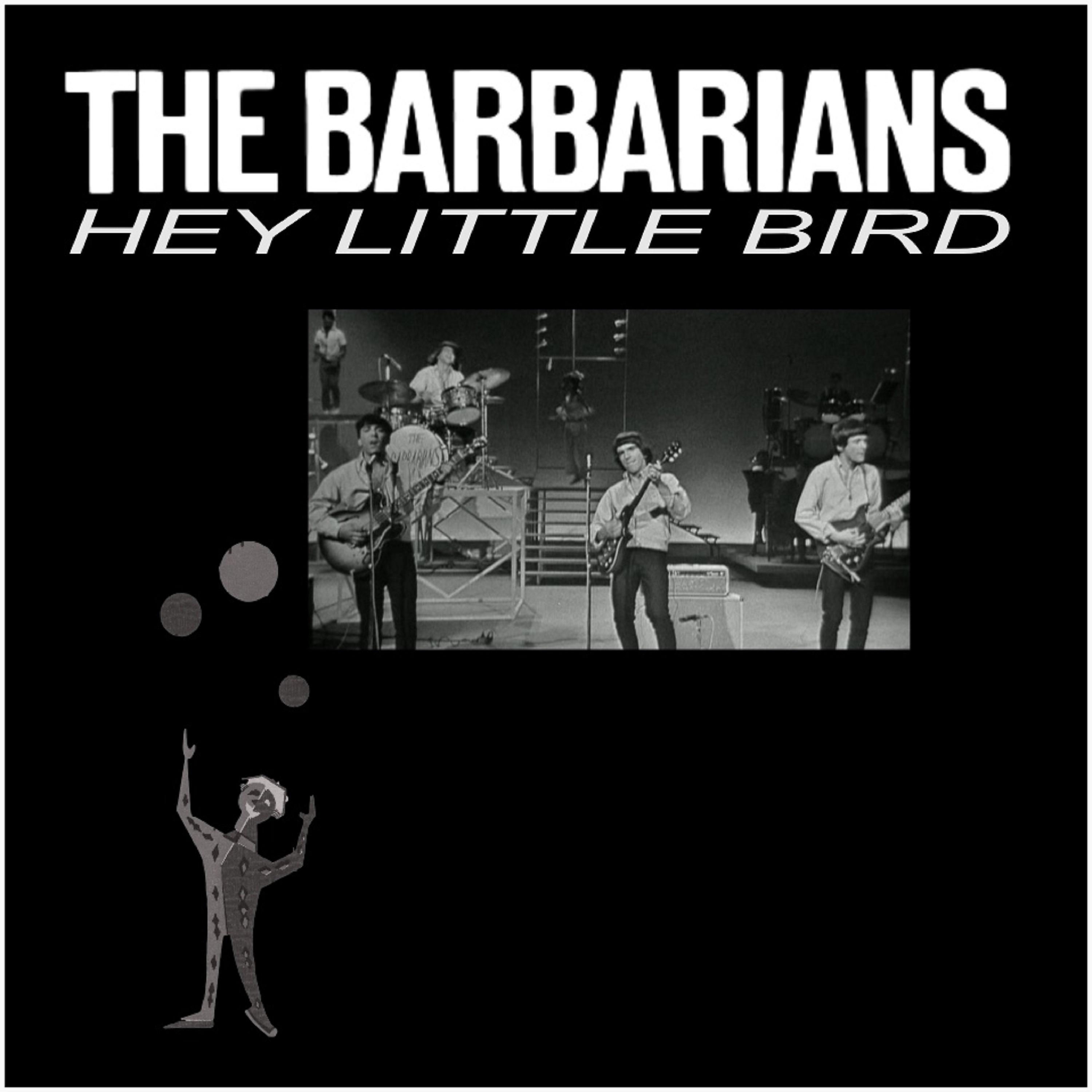 Постер альбома Hey Little Bird