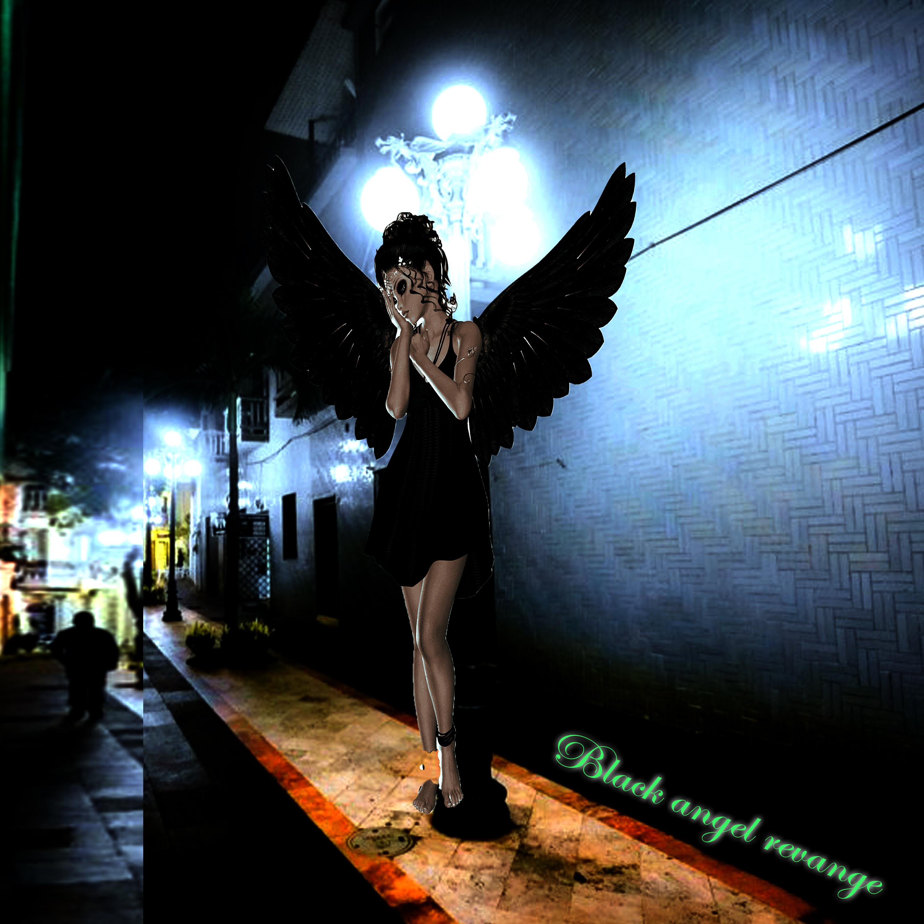 Постер альбома Black Angel Revange
