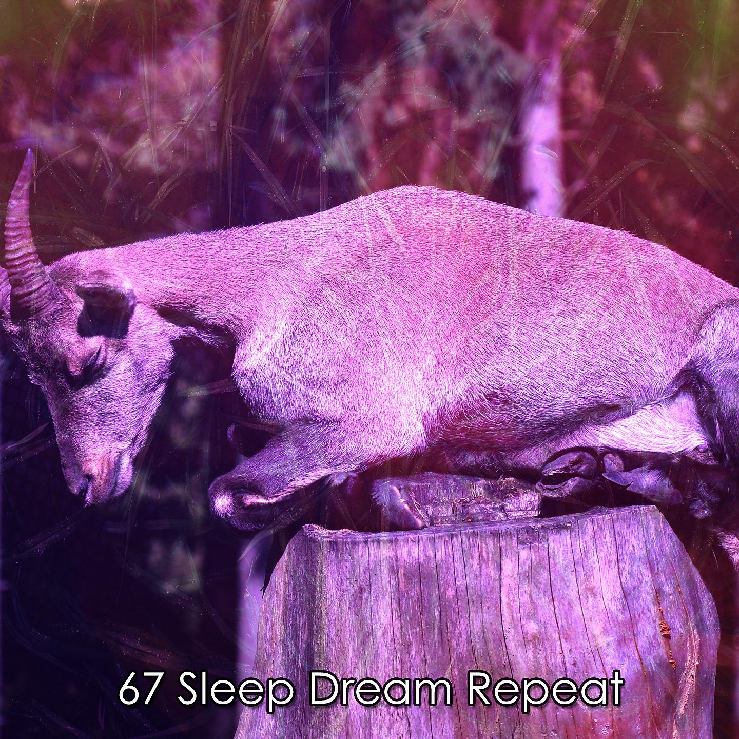 Постер альбома 67 Сон Повторение Снов