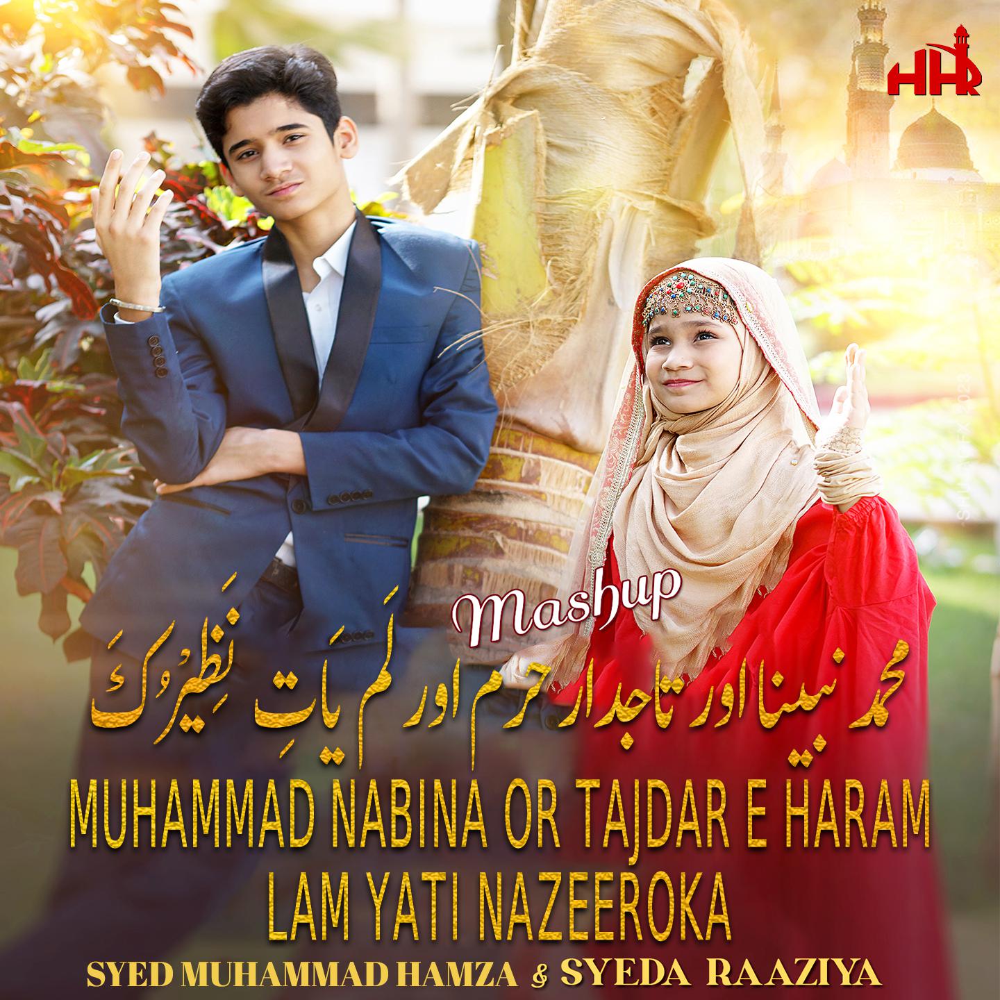 Постер альбома Muhammad Nabina or Tajdar E Haram or Lam Yati Nazeero