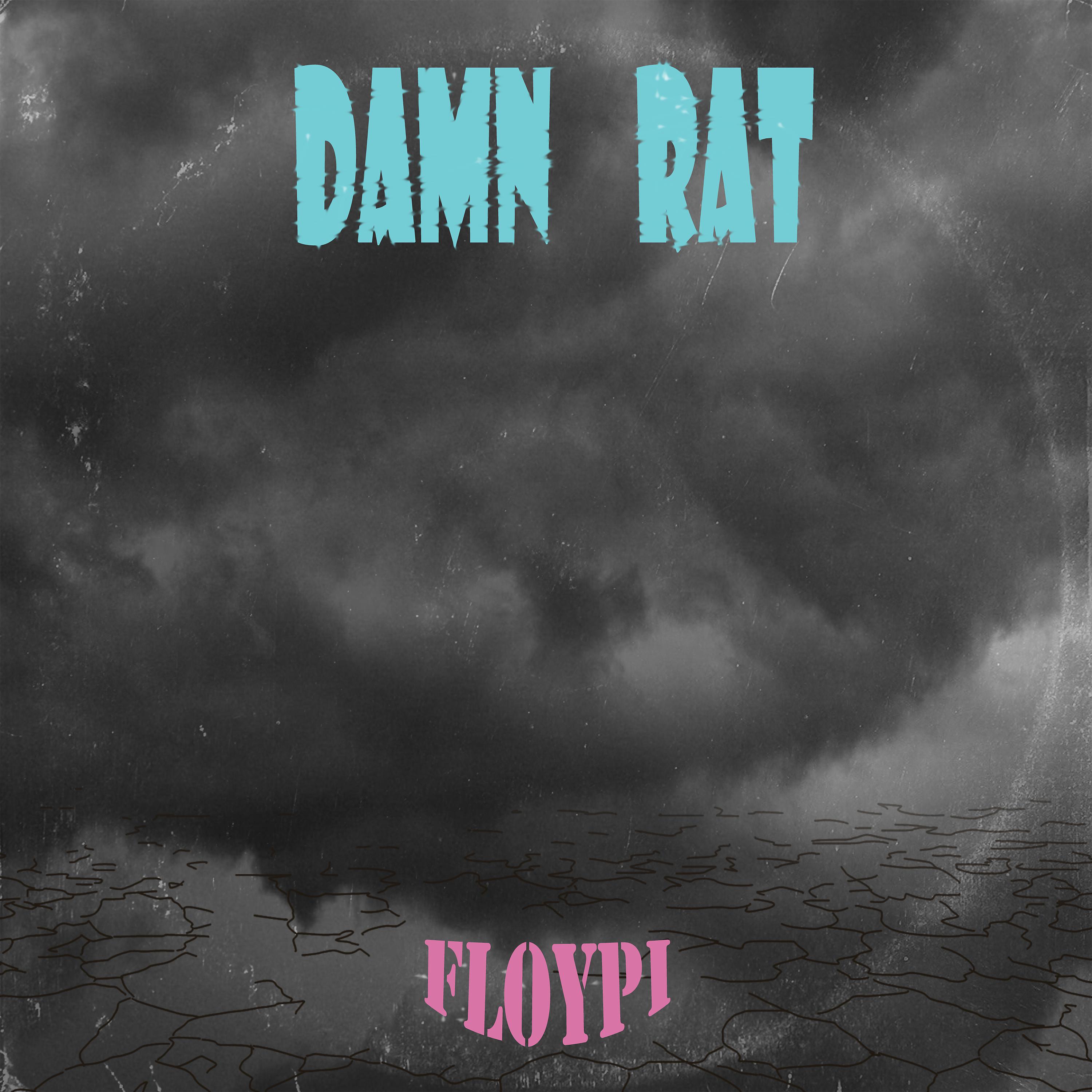 Постер альбома DAMN RAT