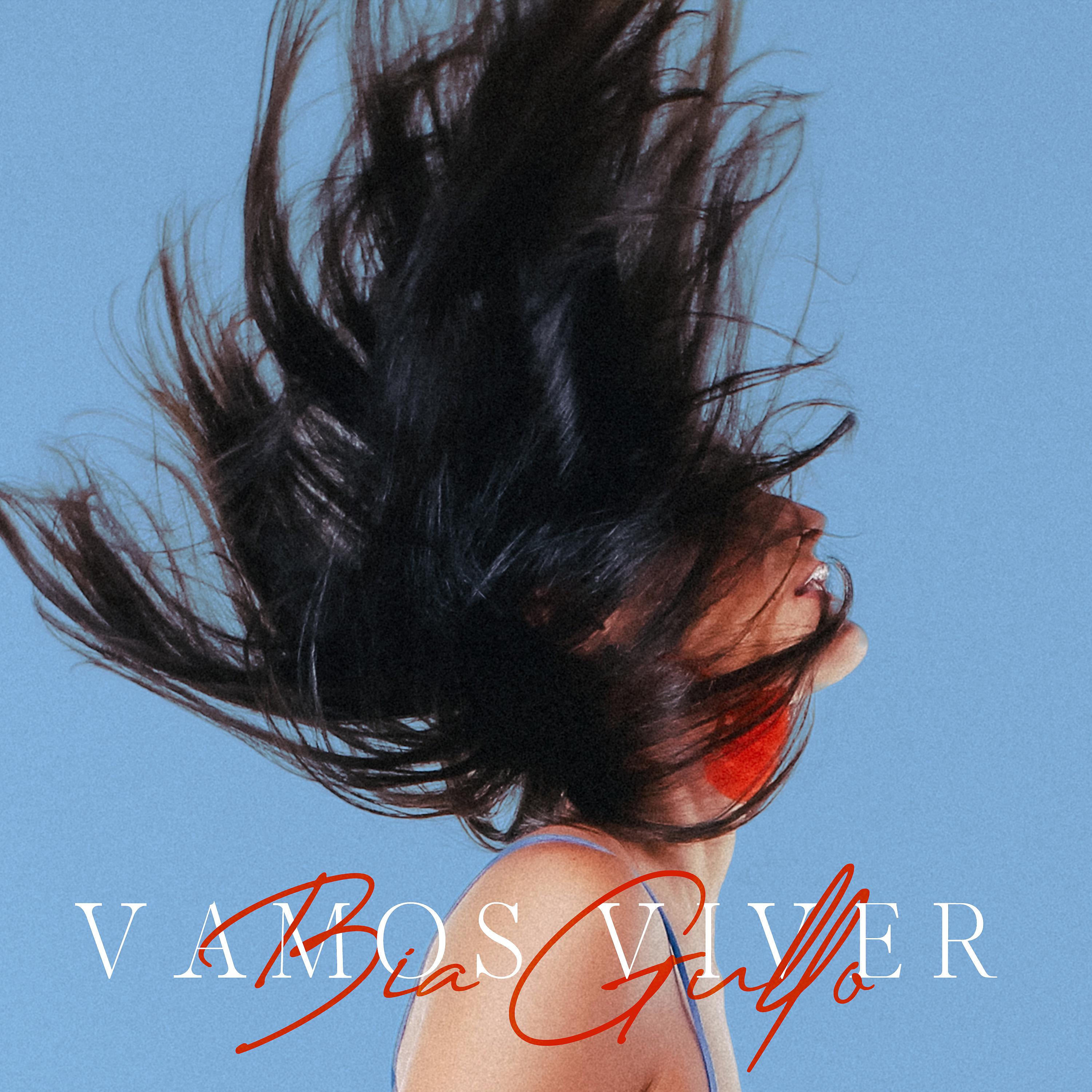 Постер альбома Vamos Viver