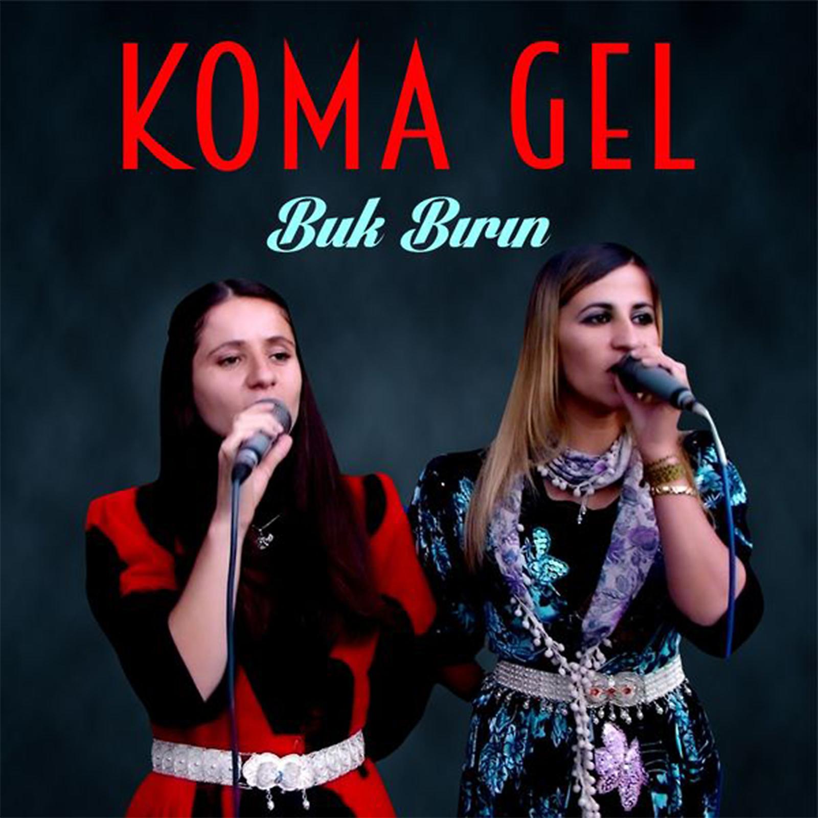 Постер альбома Buk Bırın