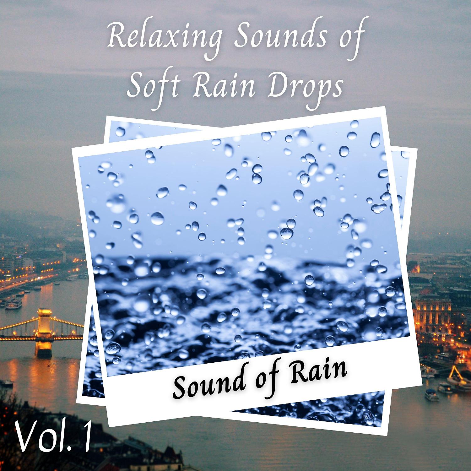 Постер альбома Sound of Rain: Relaxing Sounds of Soft Rain Drops Vol. 1