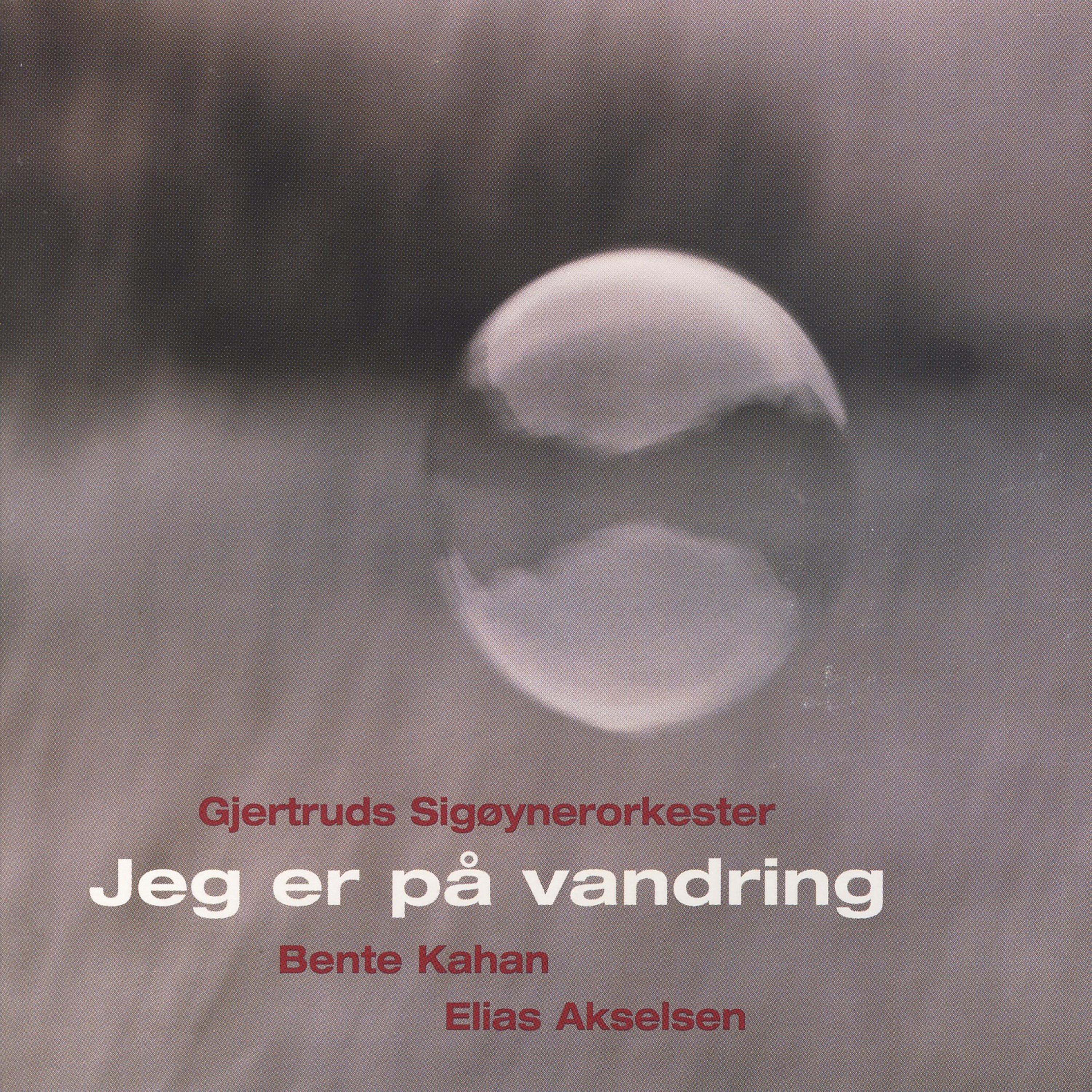 Постер альбома Jeg Er På Vandring