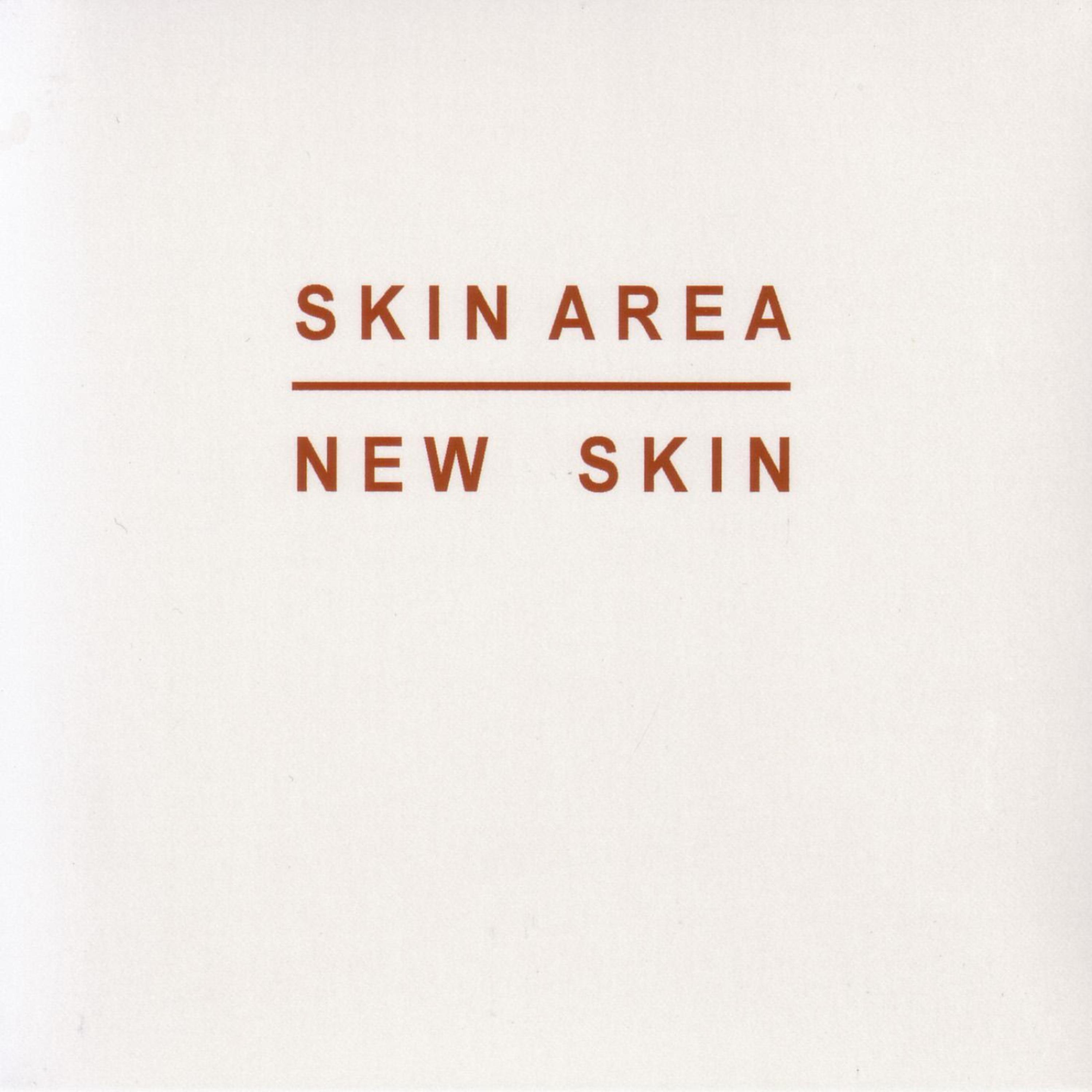 Постер альбома New Skin