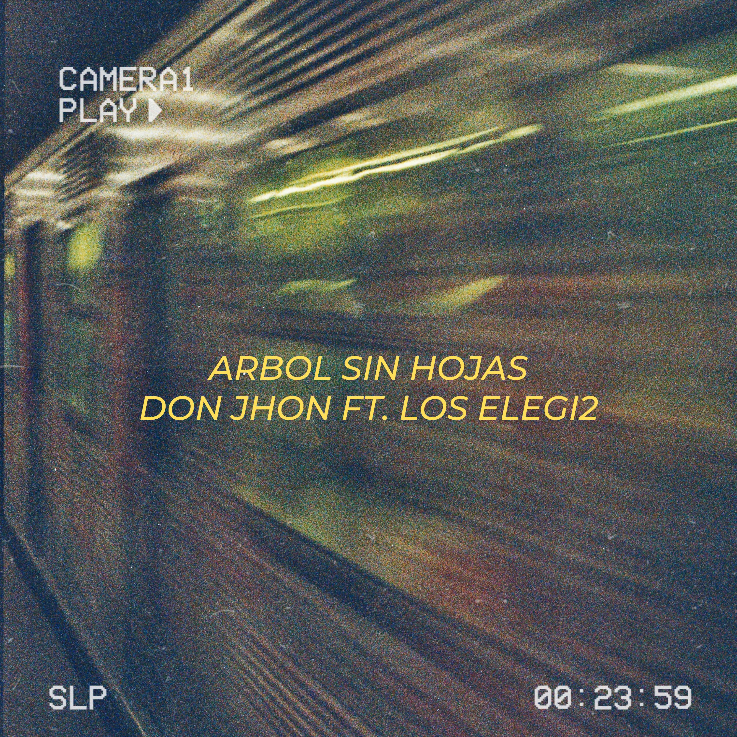 Постер альбома Arbol Sin Hojas