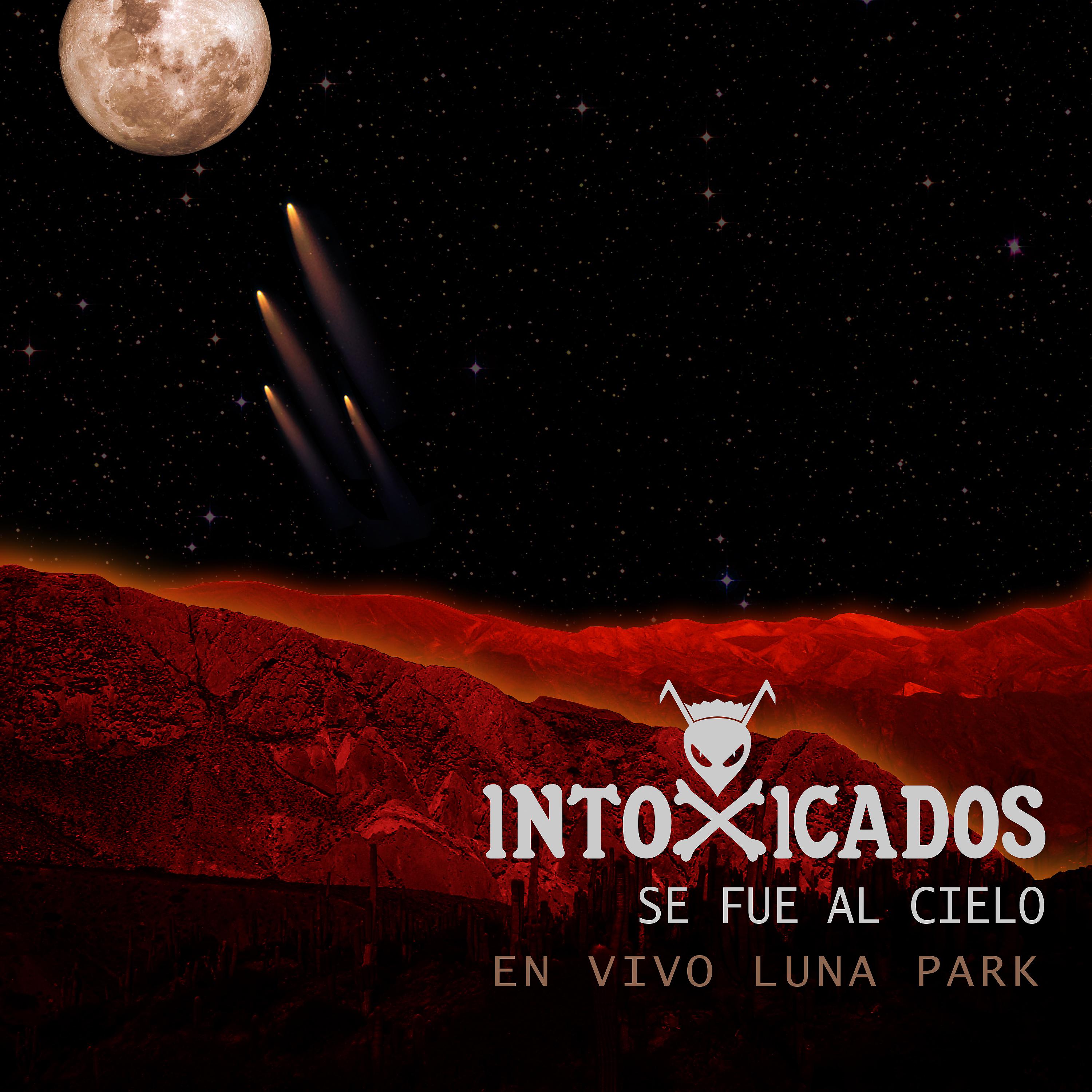Постер альбома Se Fue al Cielo (En Vivo Luna Park)