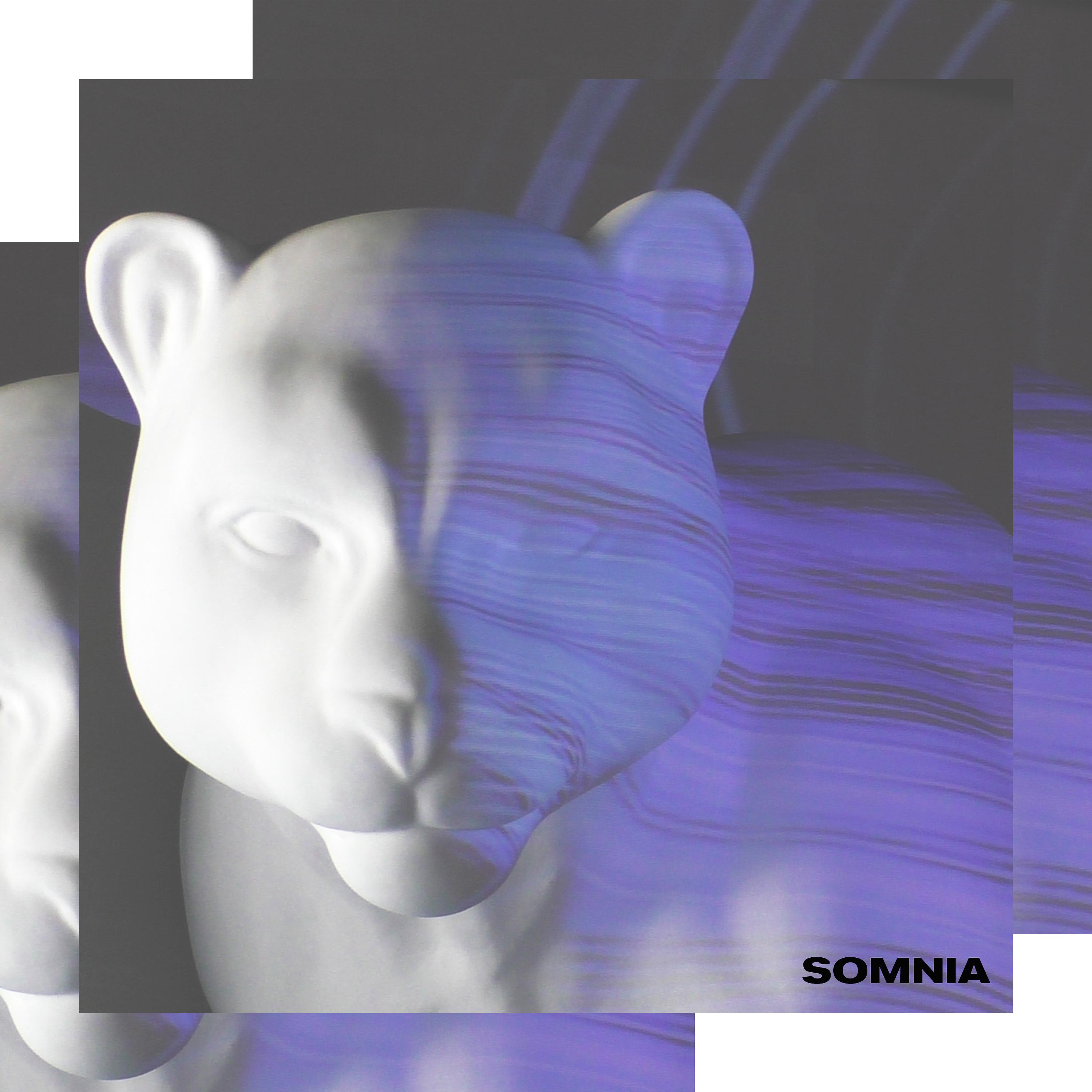Постер альбома Somnia