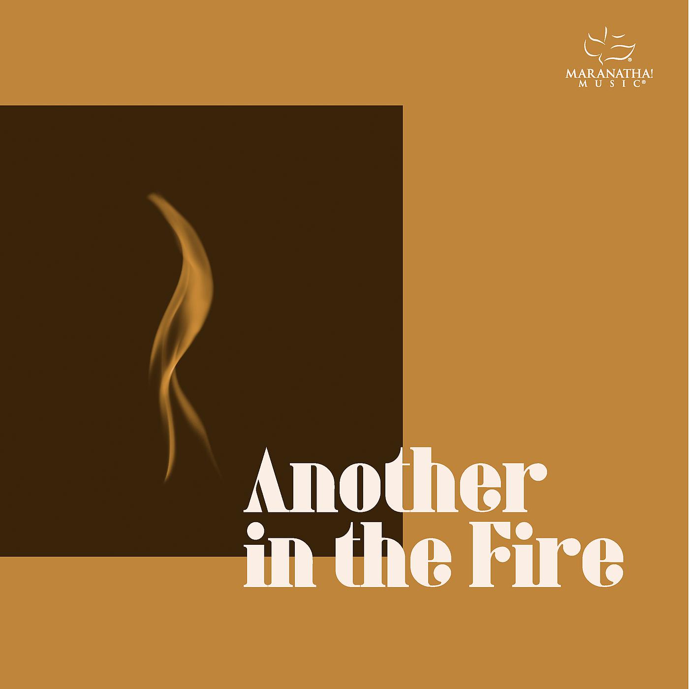 Постер альбома Another In The Fire