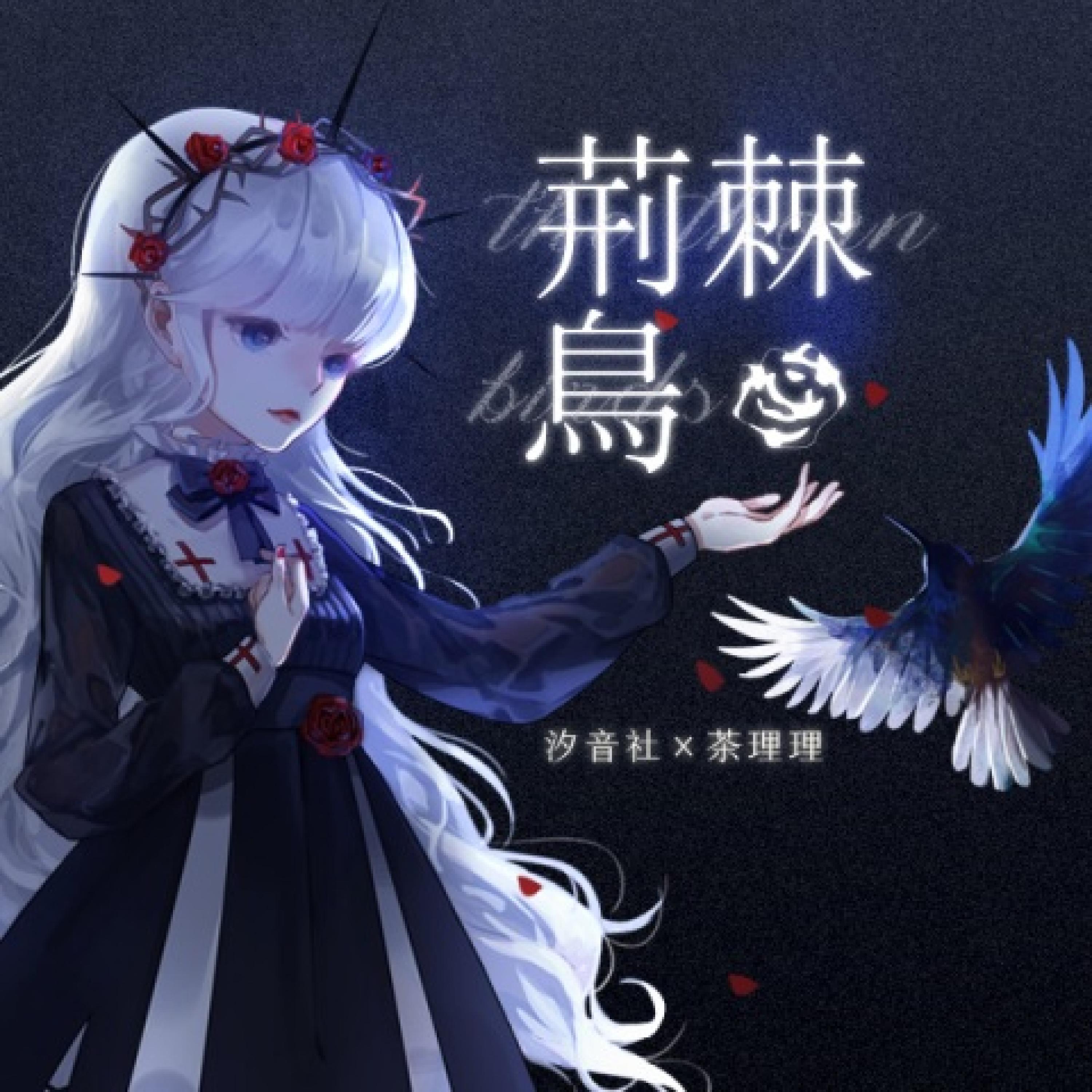 Постер альбома 荆棘鸟