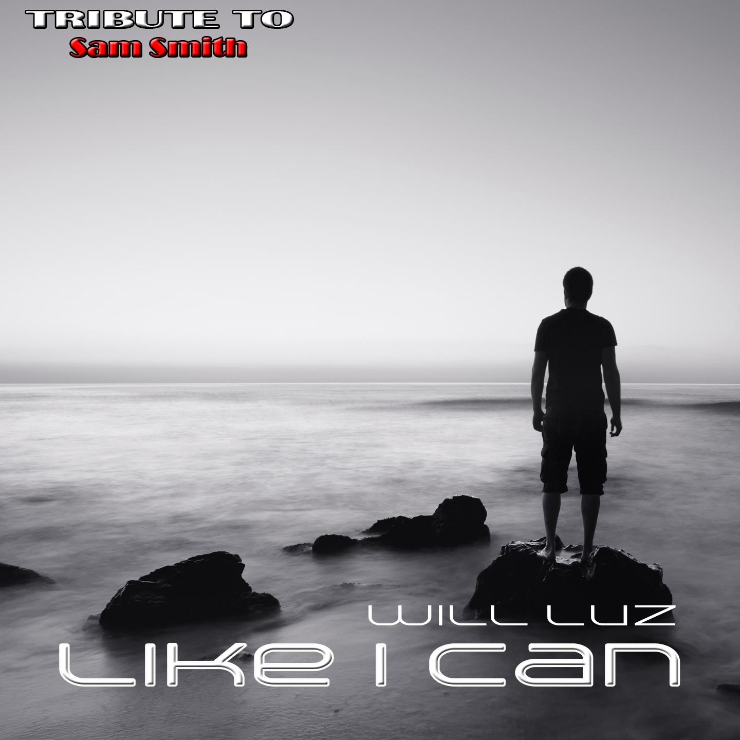 Постер альбома Like I Can: Tribute to Sam Smith