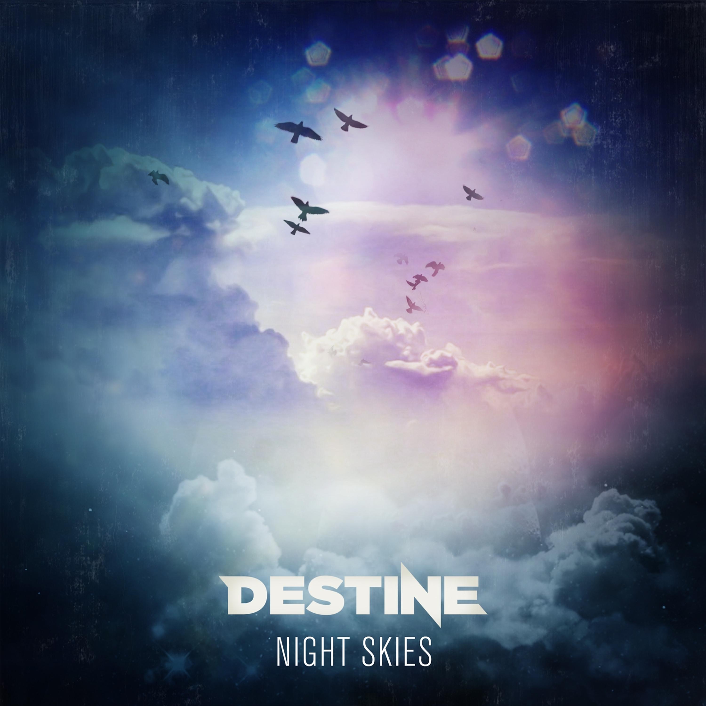 Постер альбома Night Skies