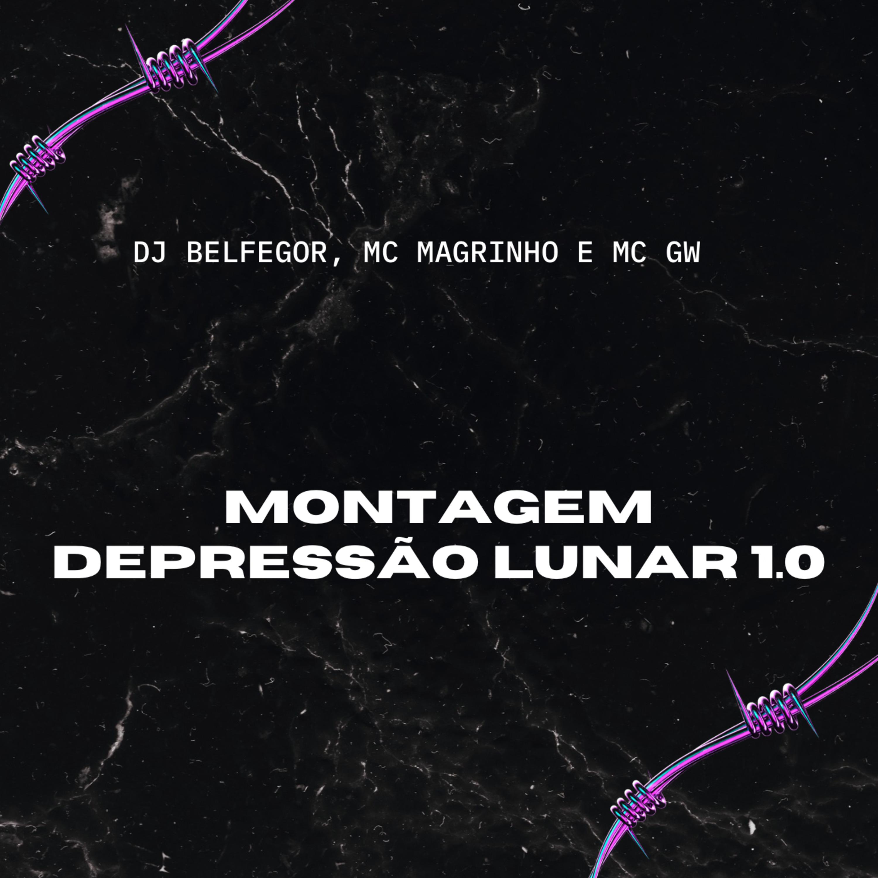 Постер альбома Montagem - Depressão Lunar 1.0