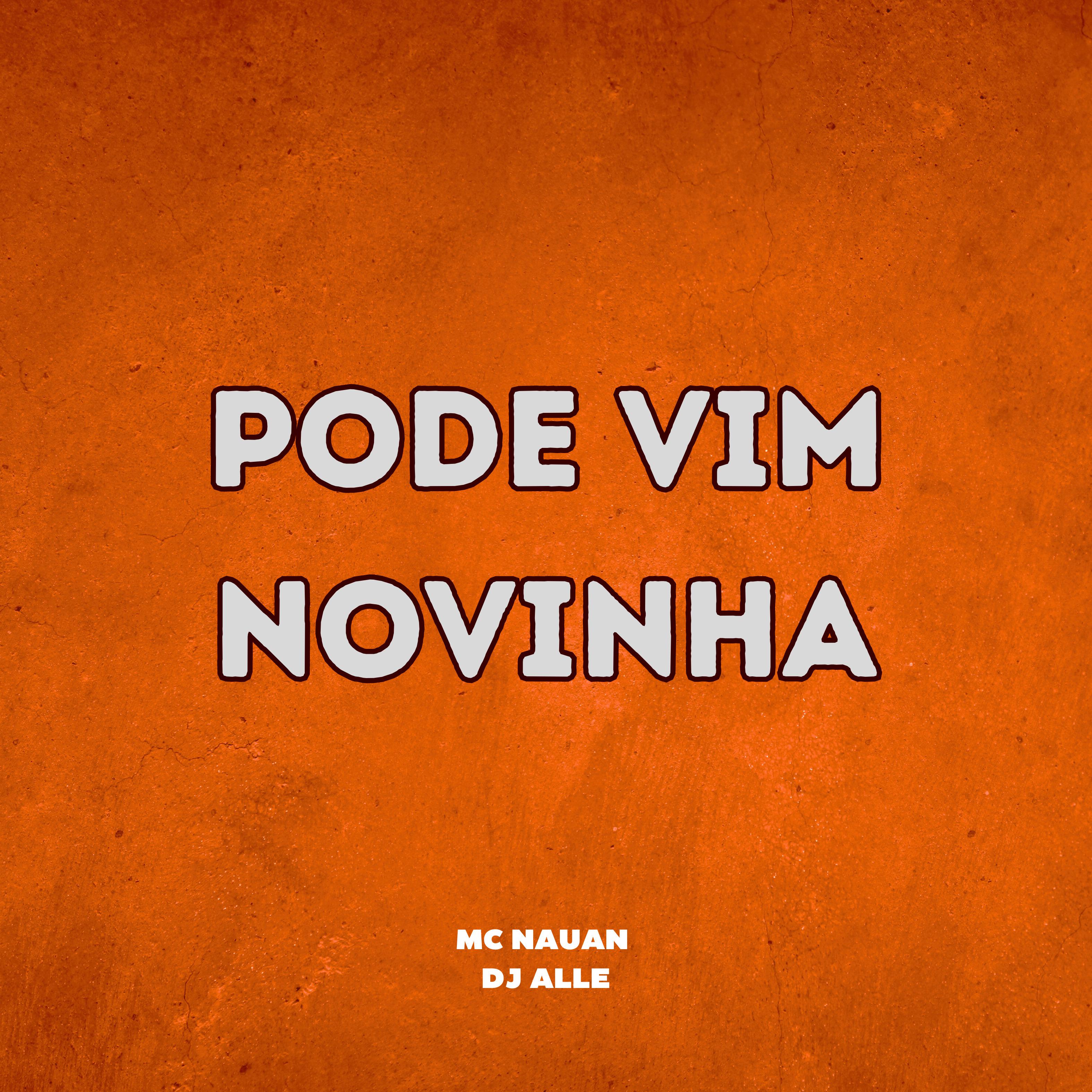 Постер альбома Pode Vim Novinha