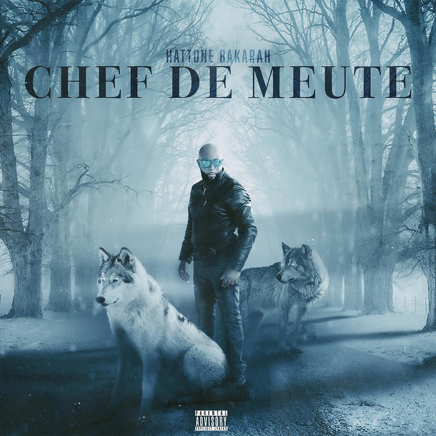 Постер альбома Chef de meute