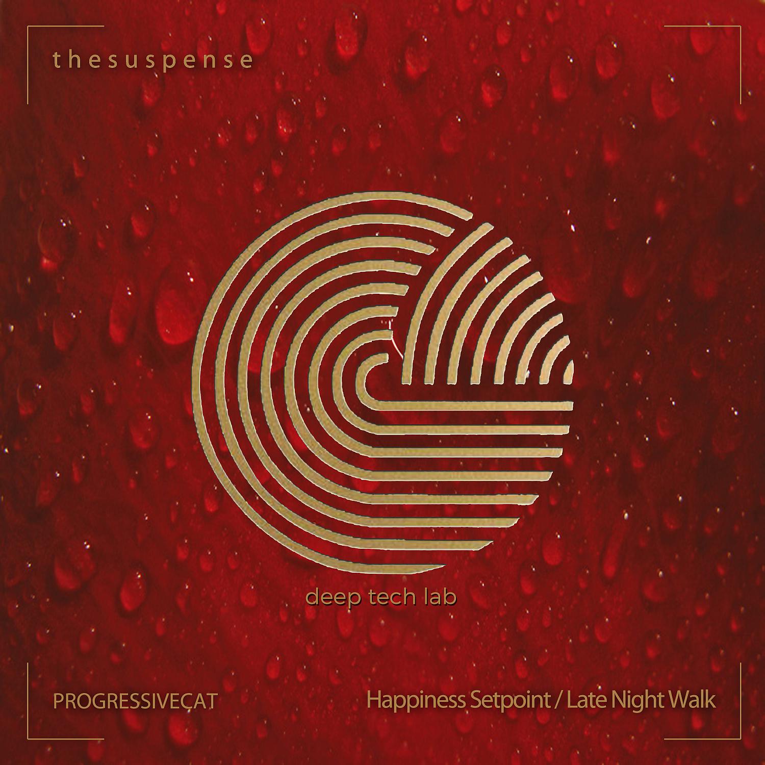Постер альбома Happiness Setpoint / Late Night Walk