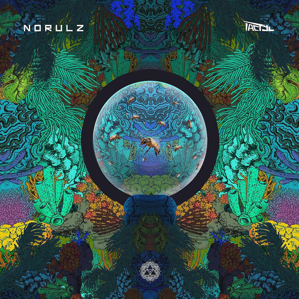 Постер альбома Norulz