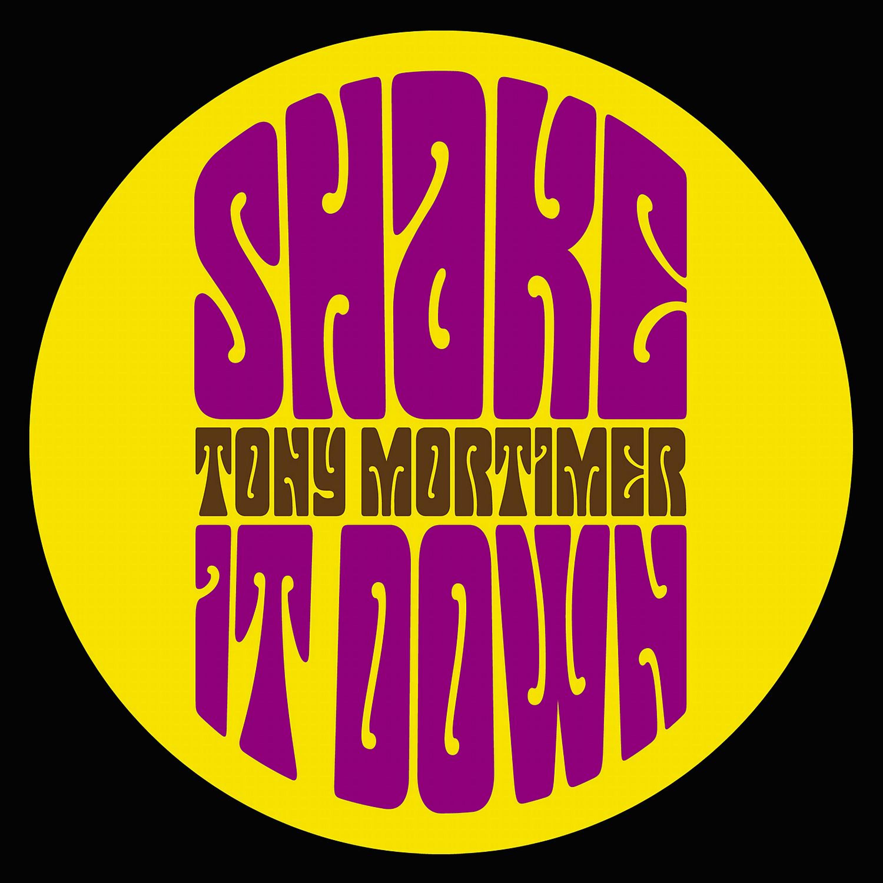 Постер альбома Shake It Down - Single