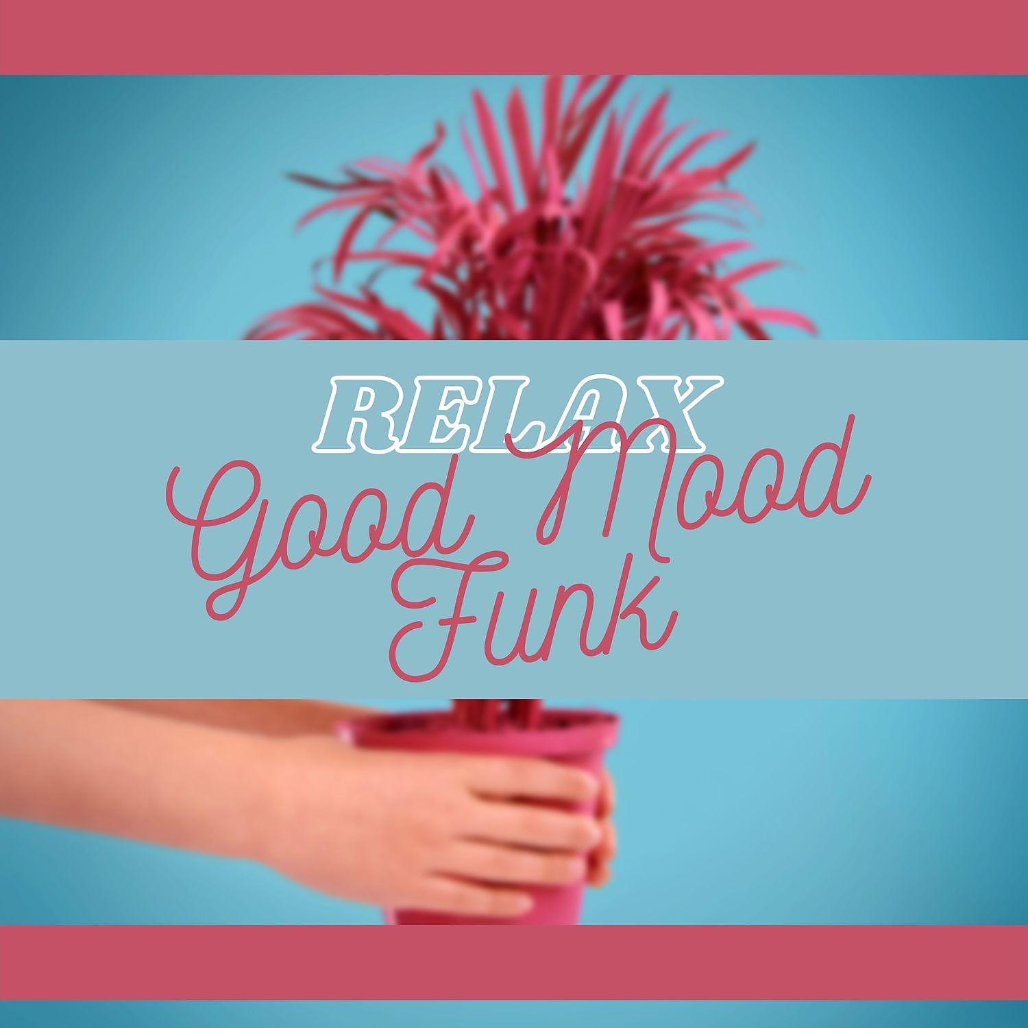 Постер альбома Relax Good Mood Funk