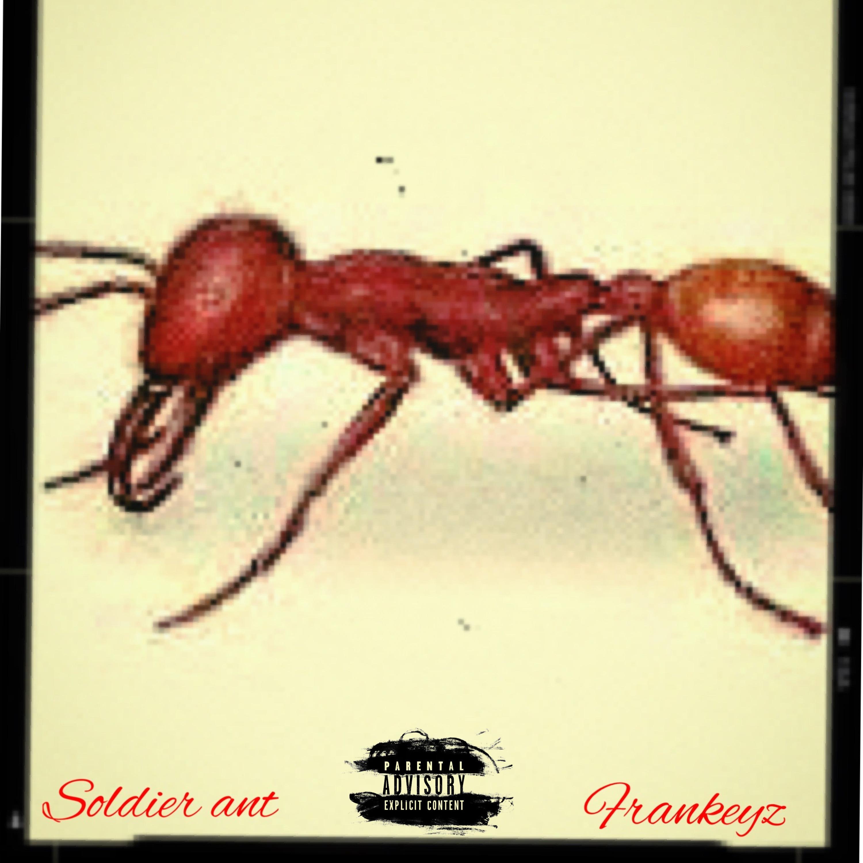 Постер альбома Soldier Ant