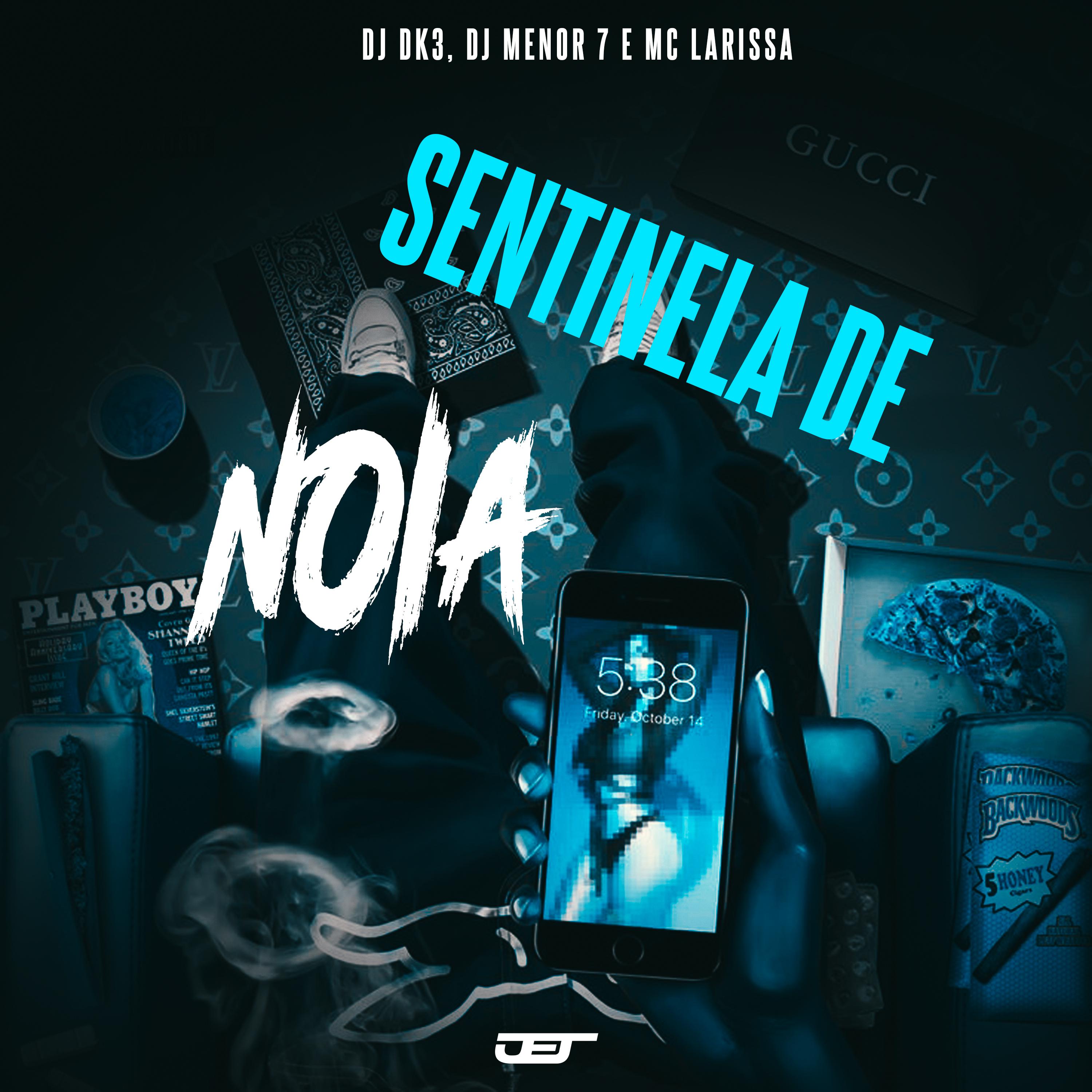 Постер альбома Sentinela de Noia