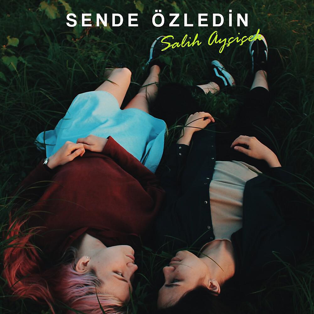 Постер альбома Sende Özledin