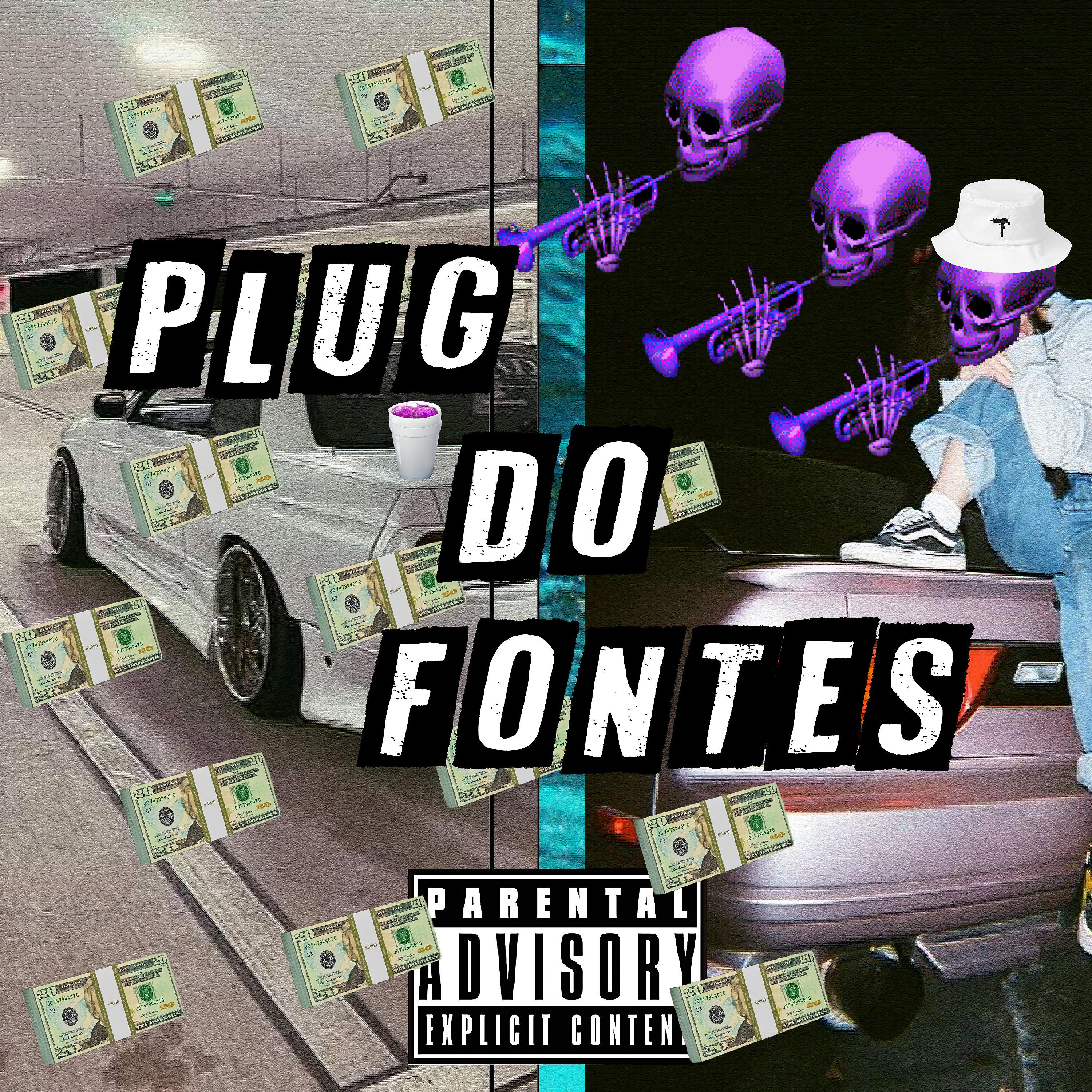 Постер альбома Plug do Fontes