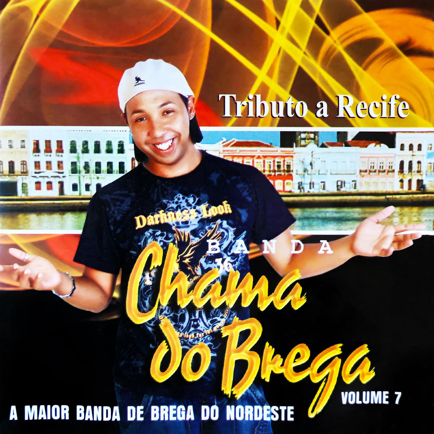 Постер альбома Tributo a Recife, Vol. 7
