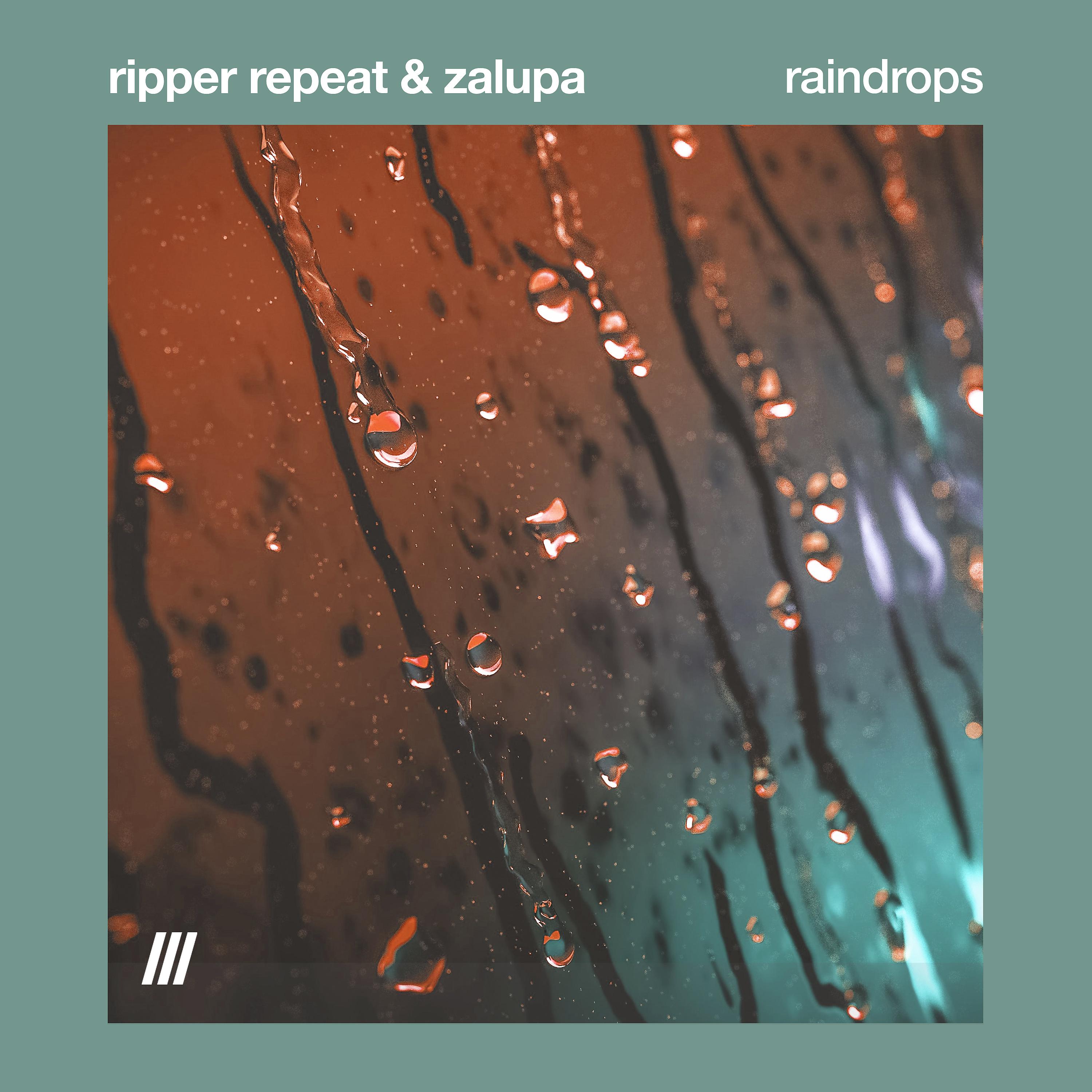 Постер альбома raindrops