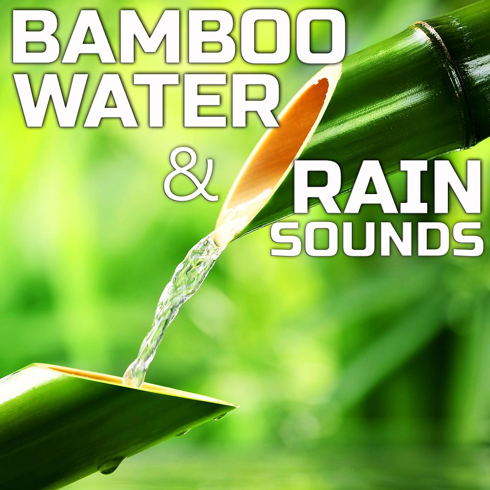Постер альбома Bamboo Water & Rain Sounds