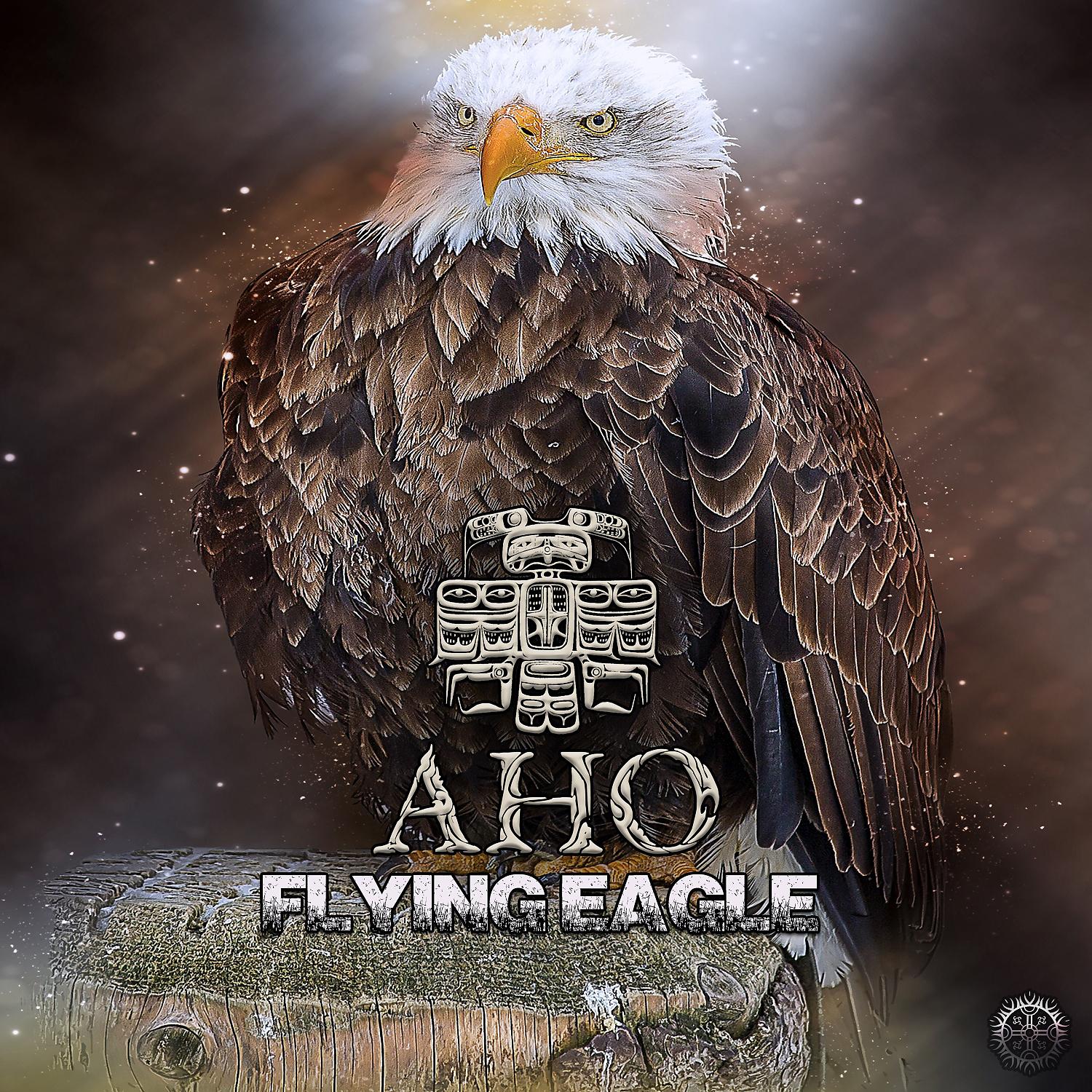 Постер альбома Flying Eagle