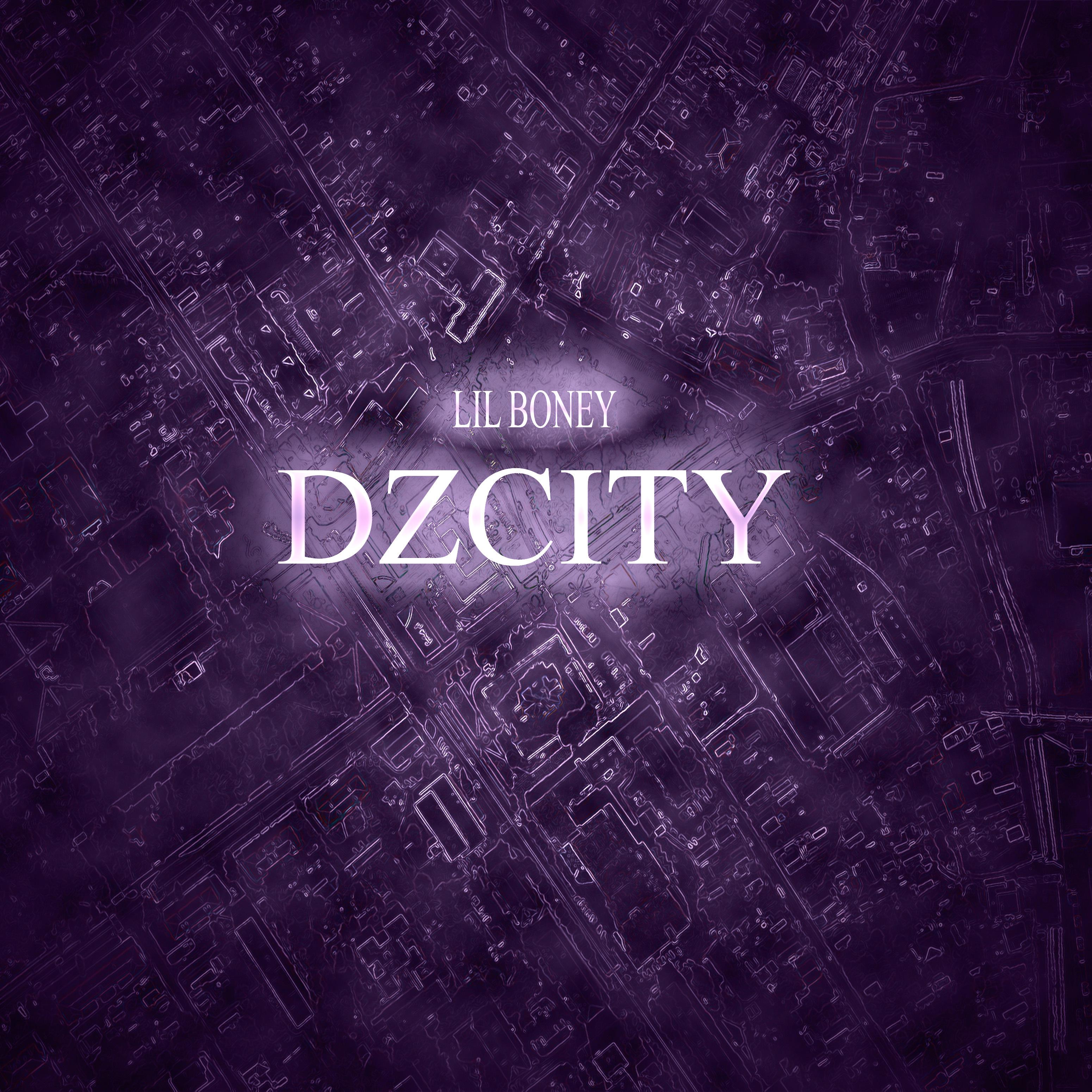 Постер альбома Dzcity