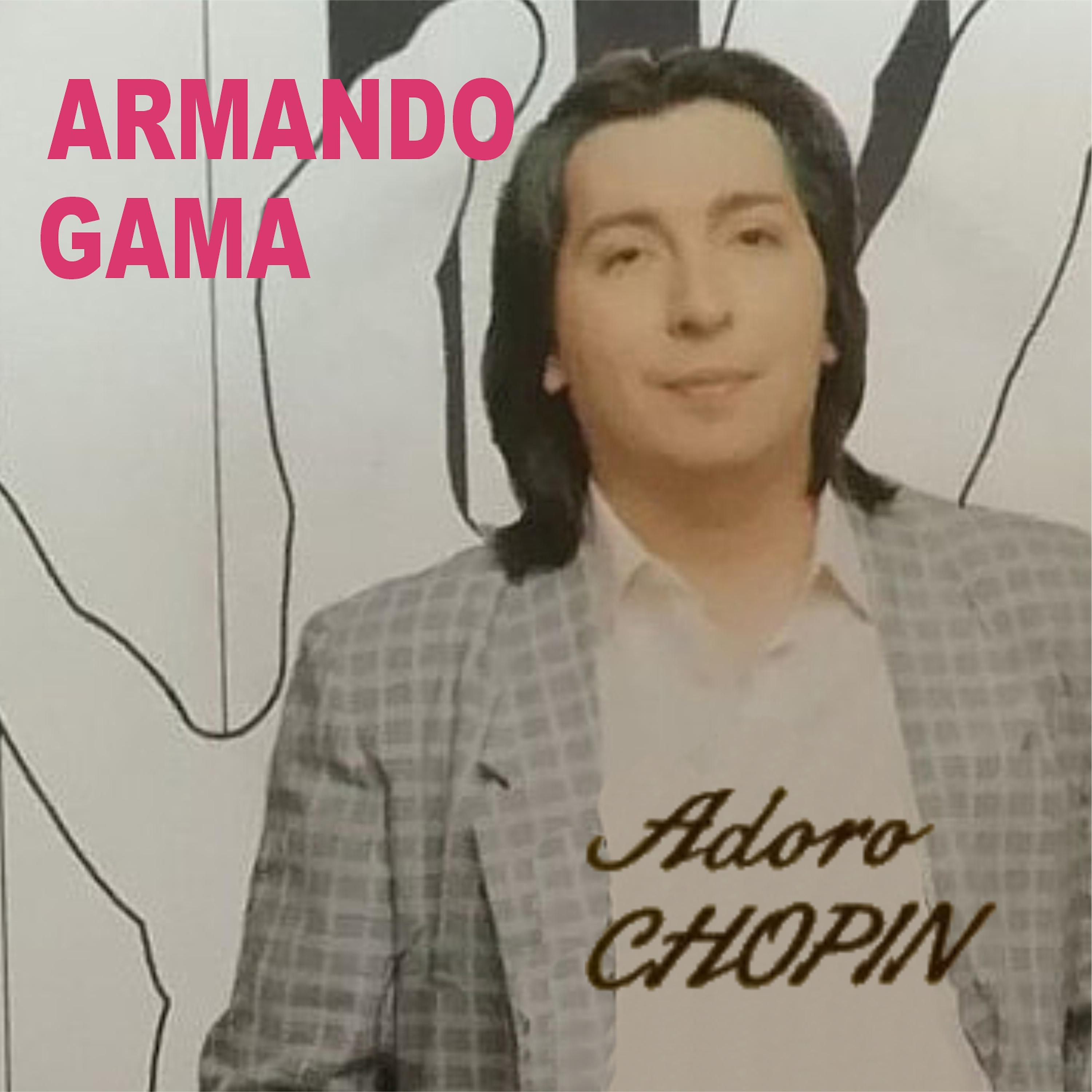 Постер альбома Adoro Chopin