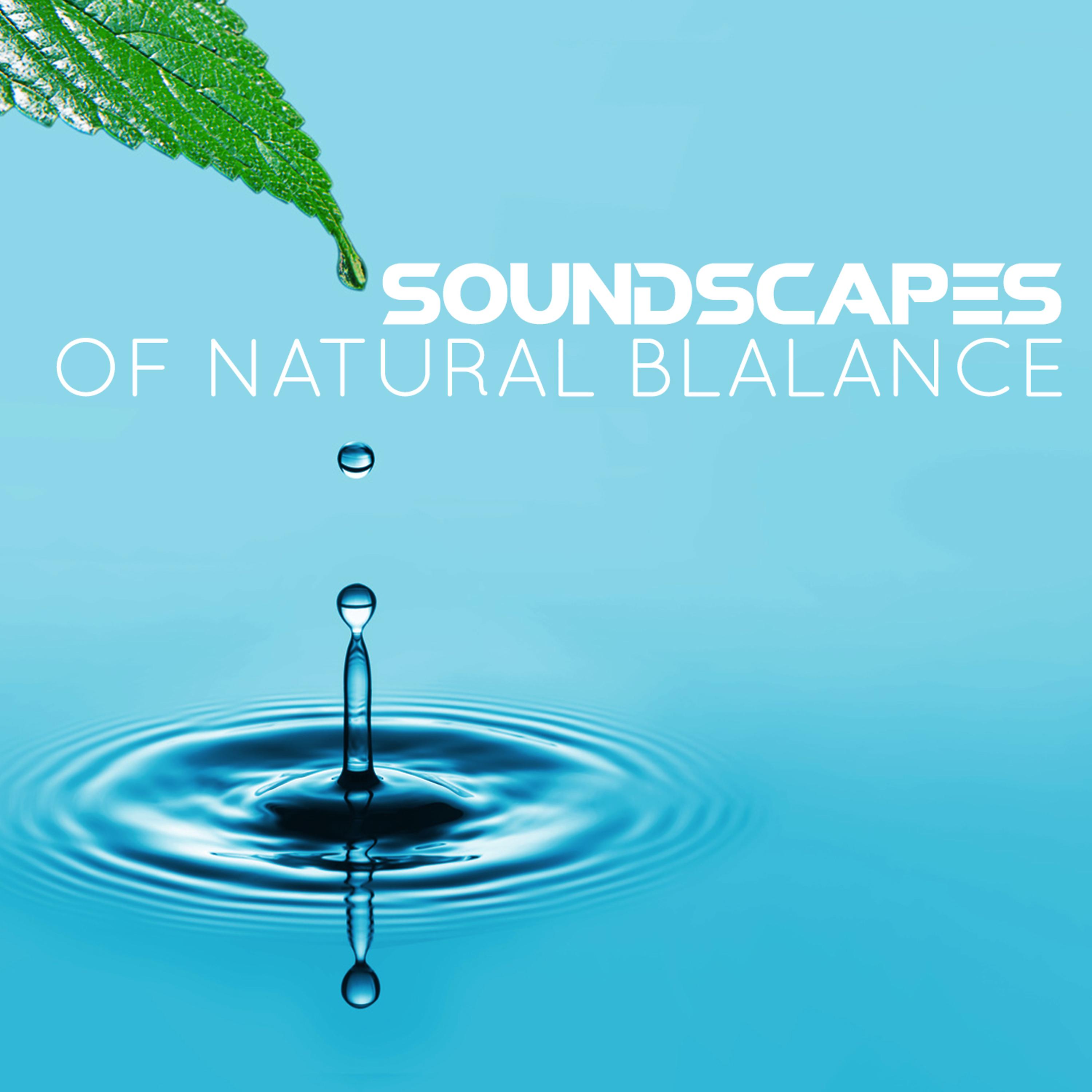 Постер альбома Soundscapes of Natural Balance