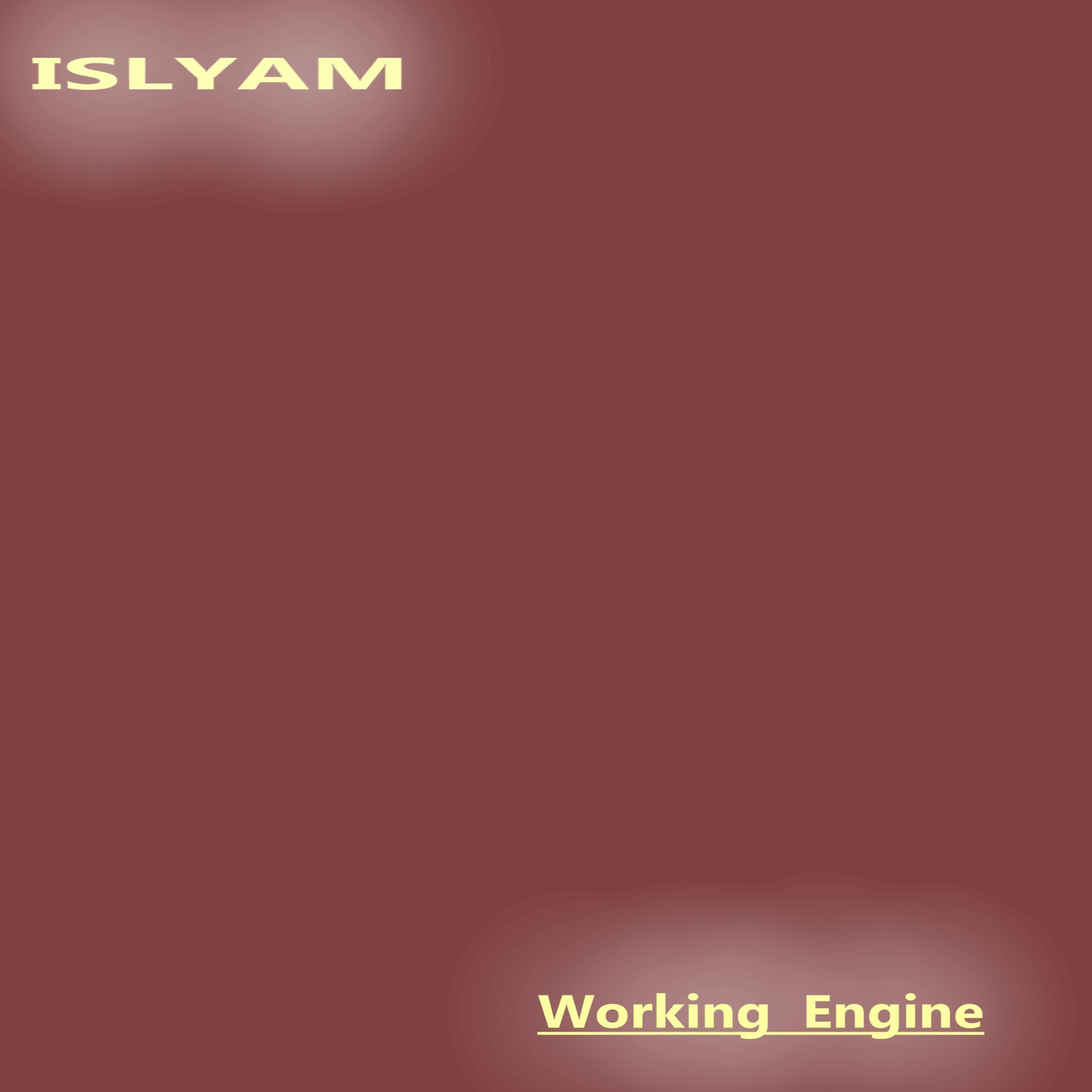 Постер альбома Working Engine