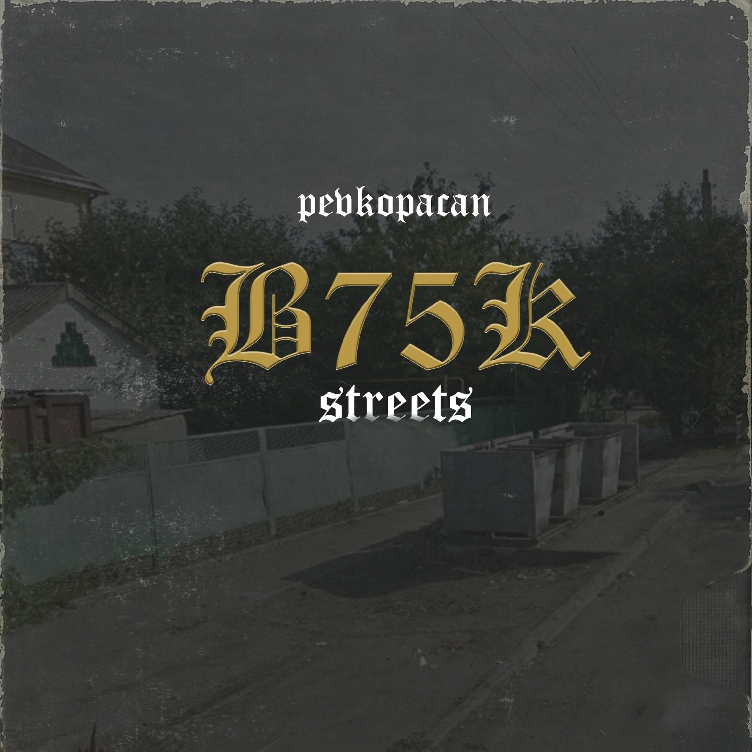 Постер альбома B75k Streets