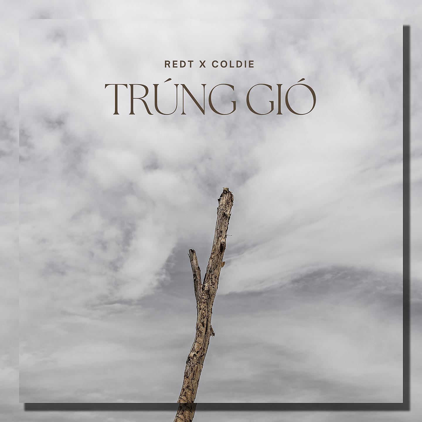 Постер альбома Trúng Gió