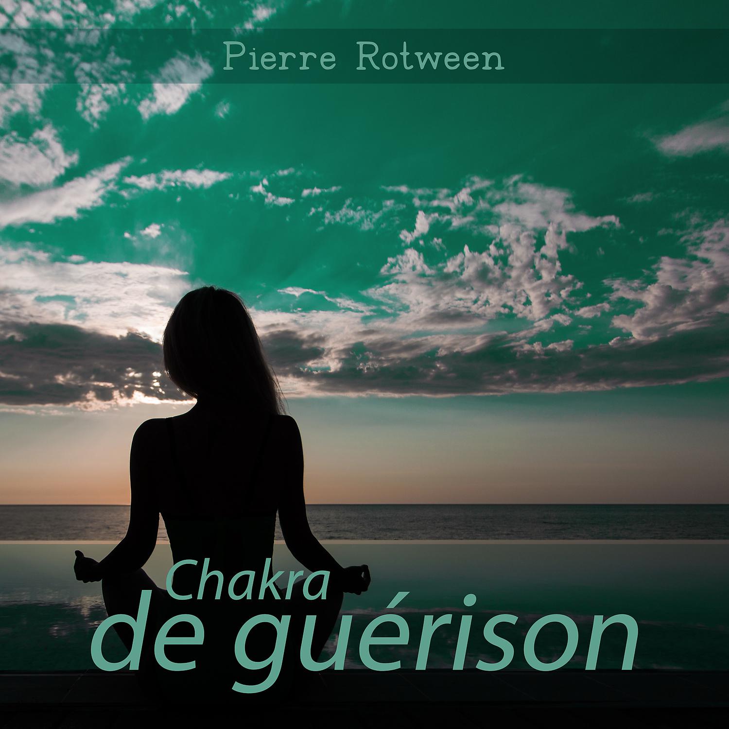 Постер альбома Chakra de guérison