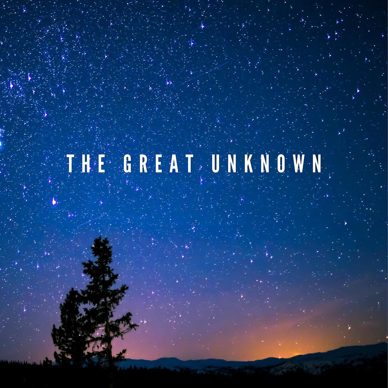 Постер альбома The Great Unknown