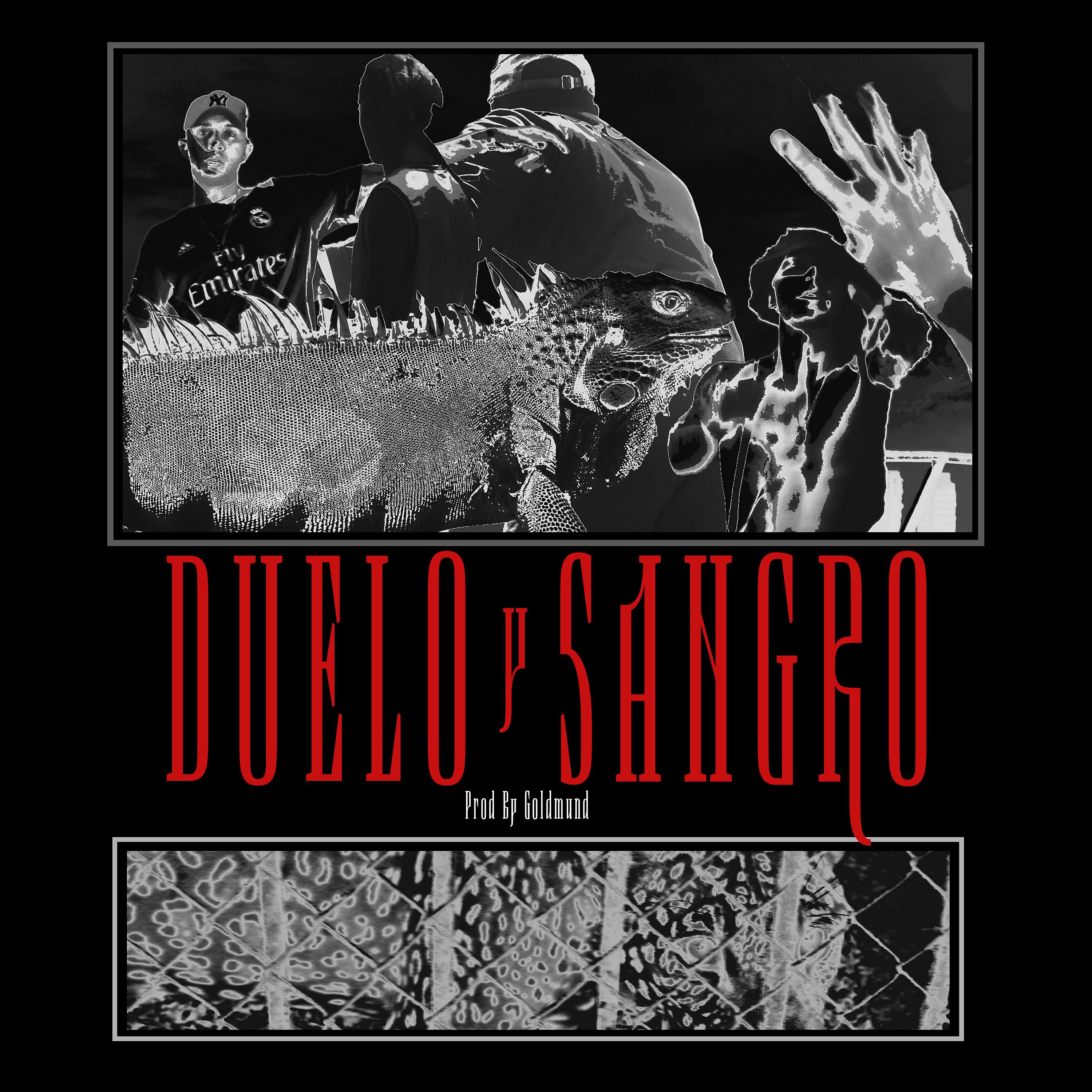 Постер альбома Duelo y Sangro