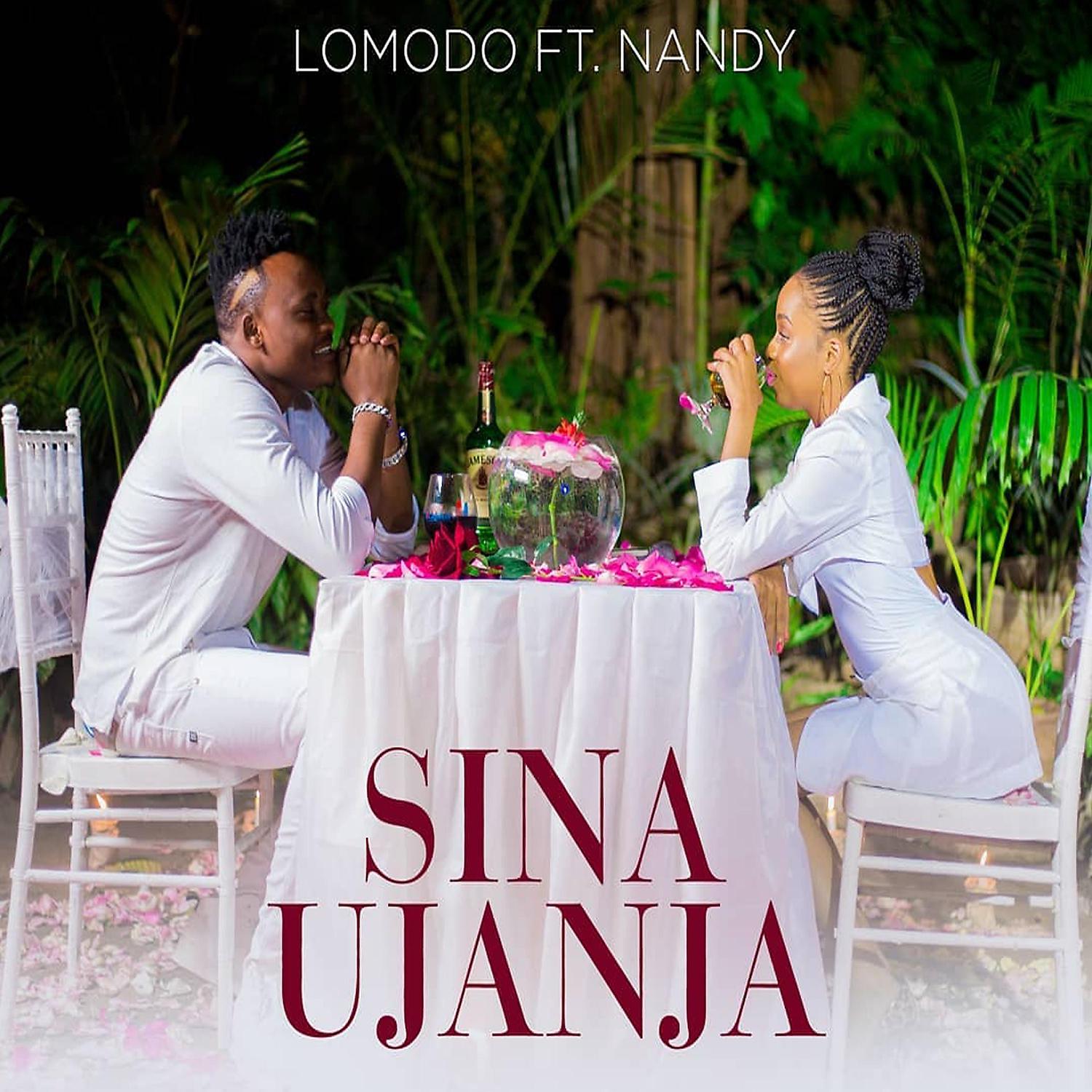 Постер альбома Sina Ujanja (feat. Nandy)