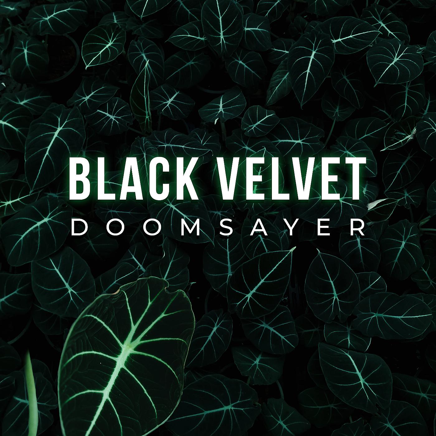 Постер альбома Black Velvet