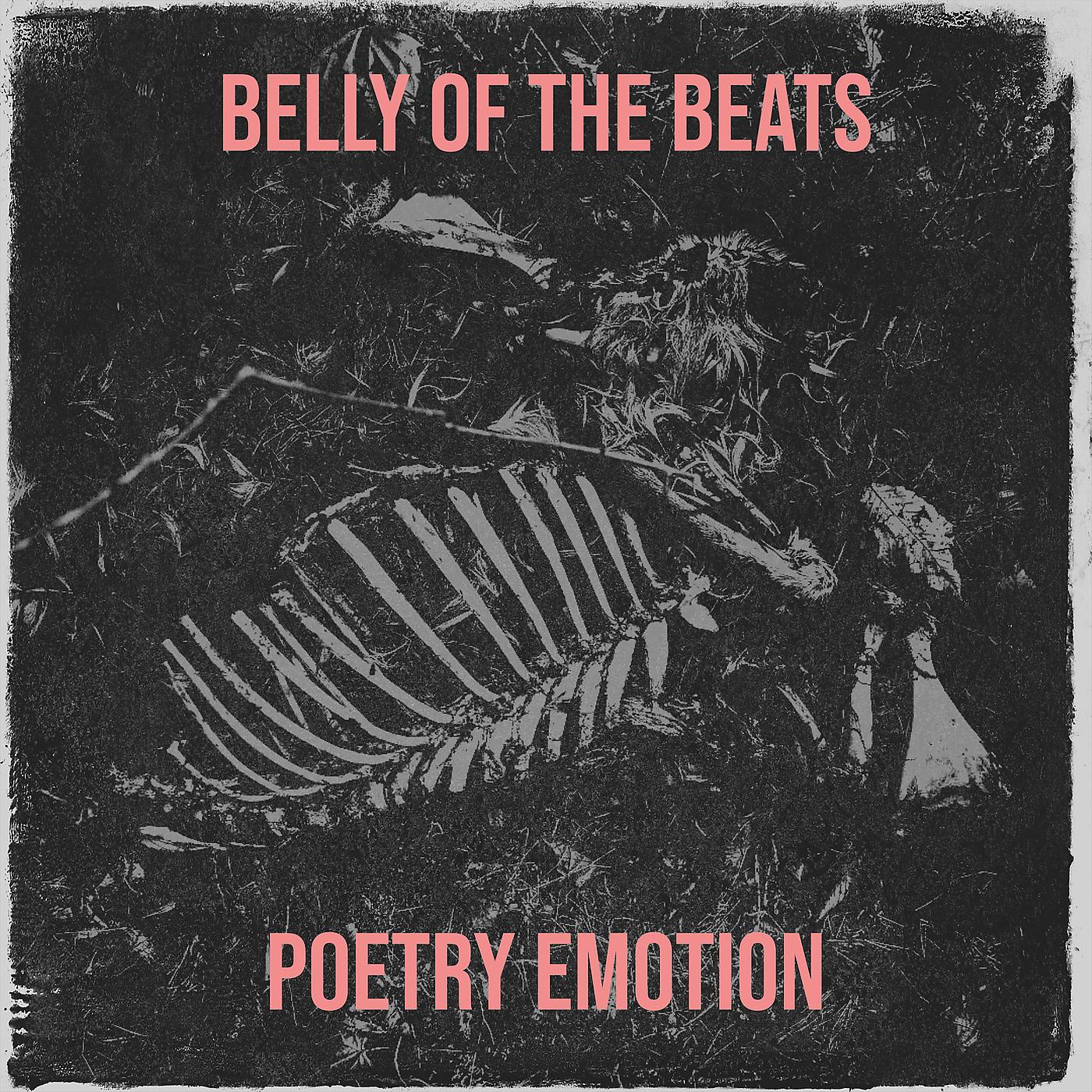 Постер альбома Belly of the Beats
