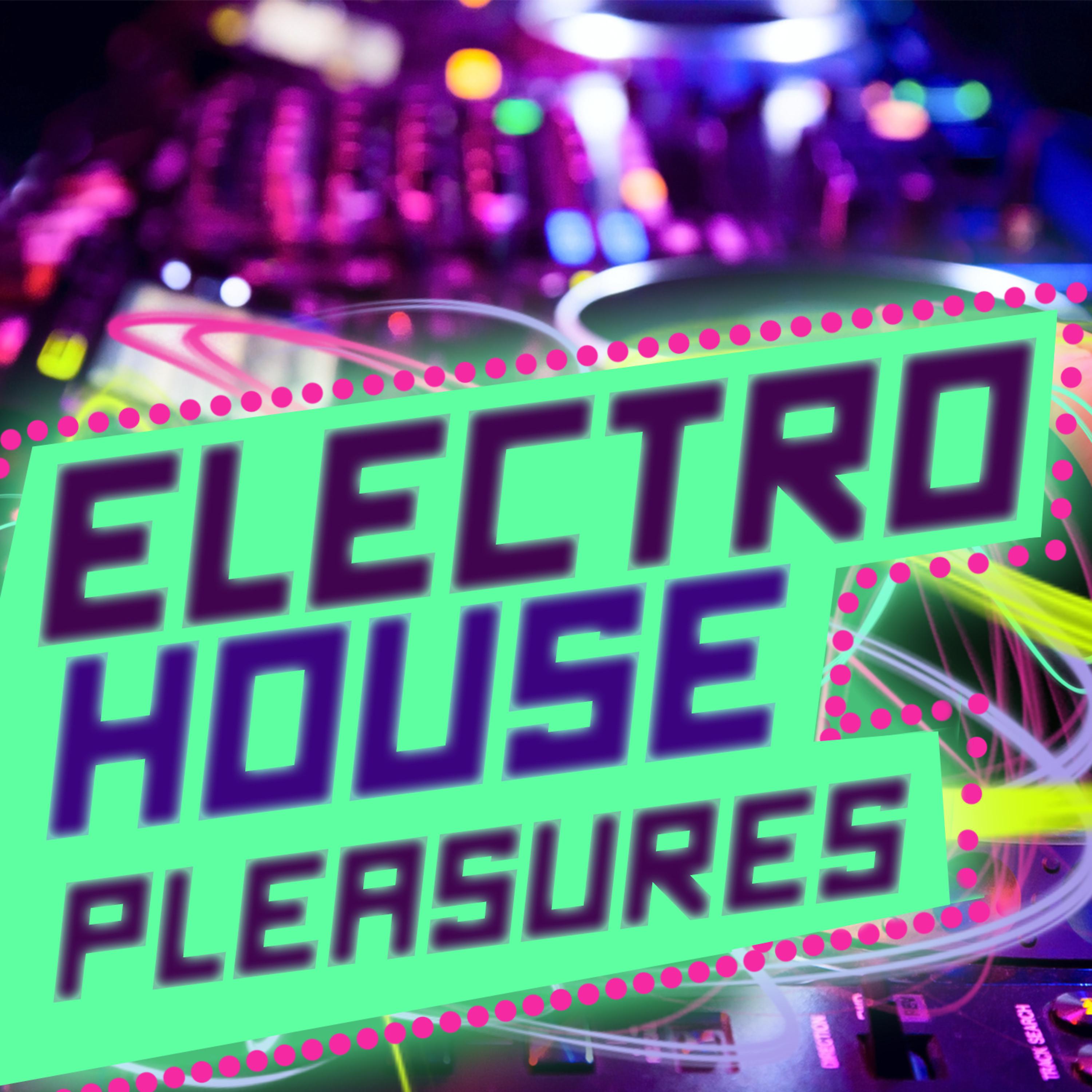 Постер альбома Electro House Pleasures